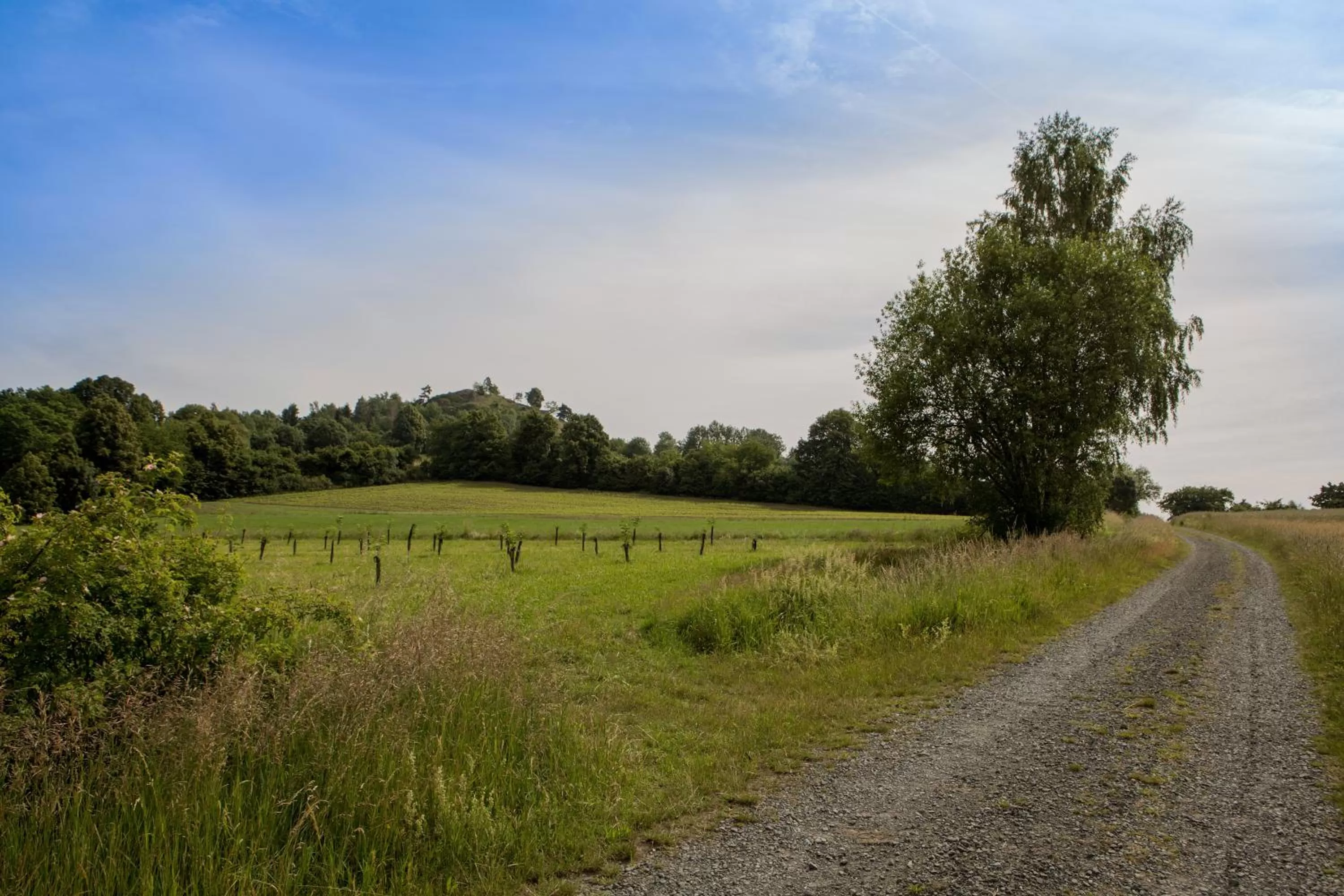 Natural landscape in Hollerhöfe - Zu Gast im Dorf
