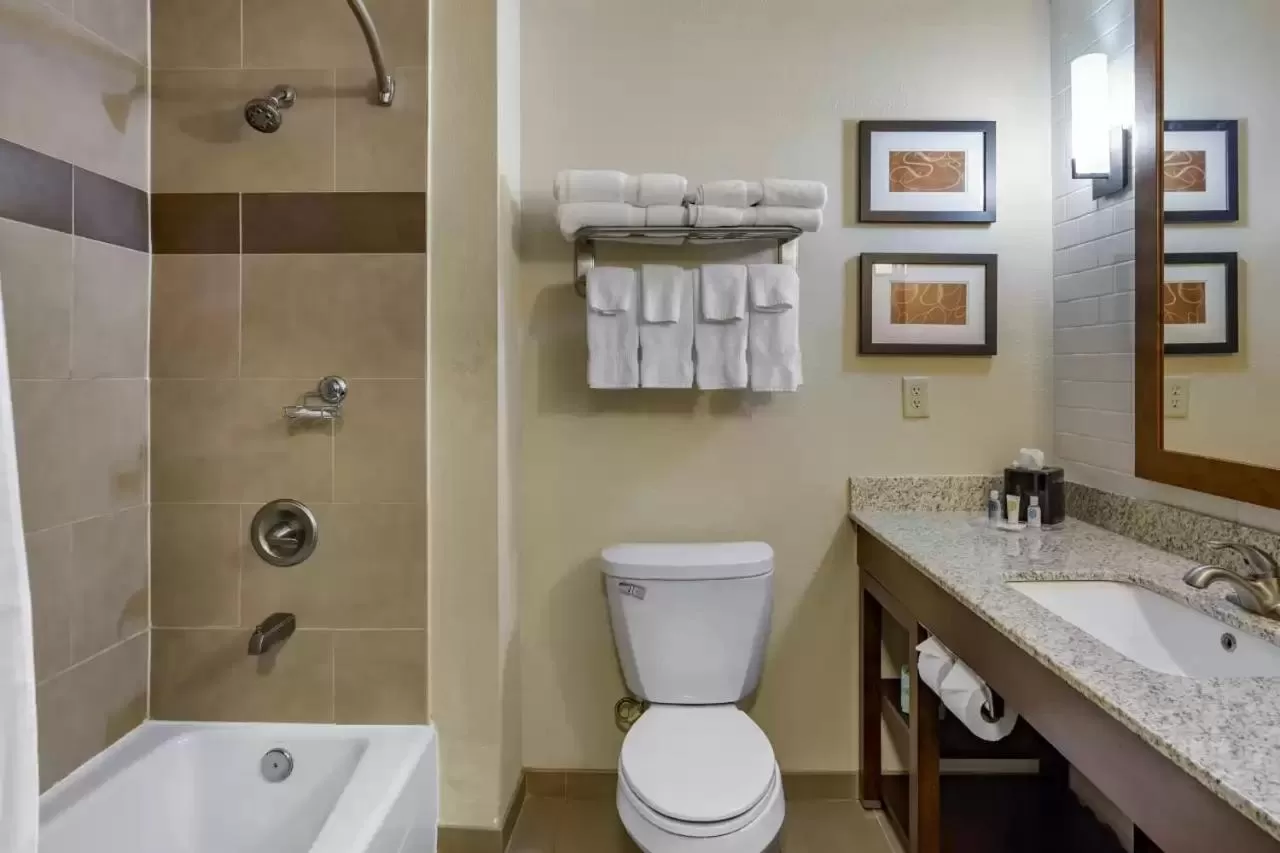 Shower in Comfort Suites Batesville