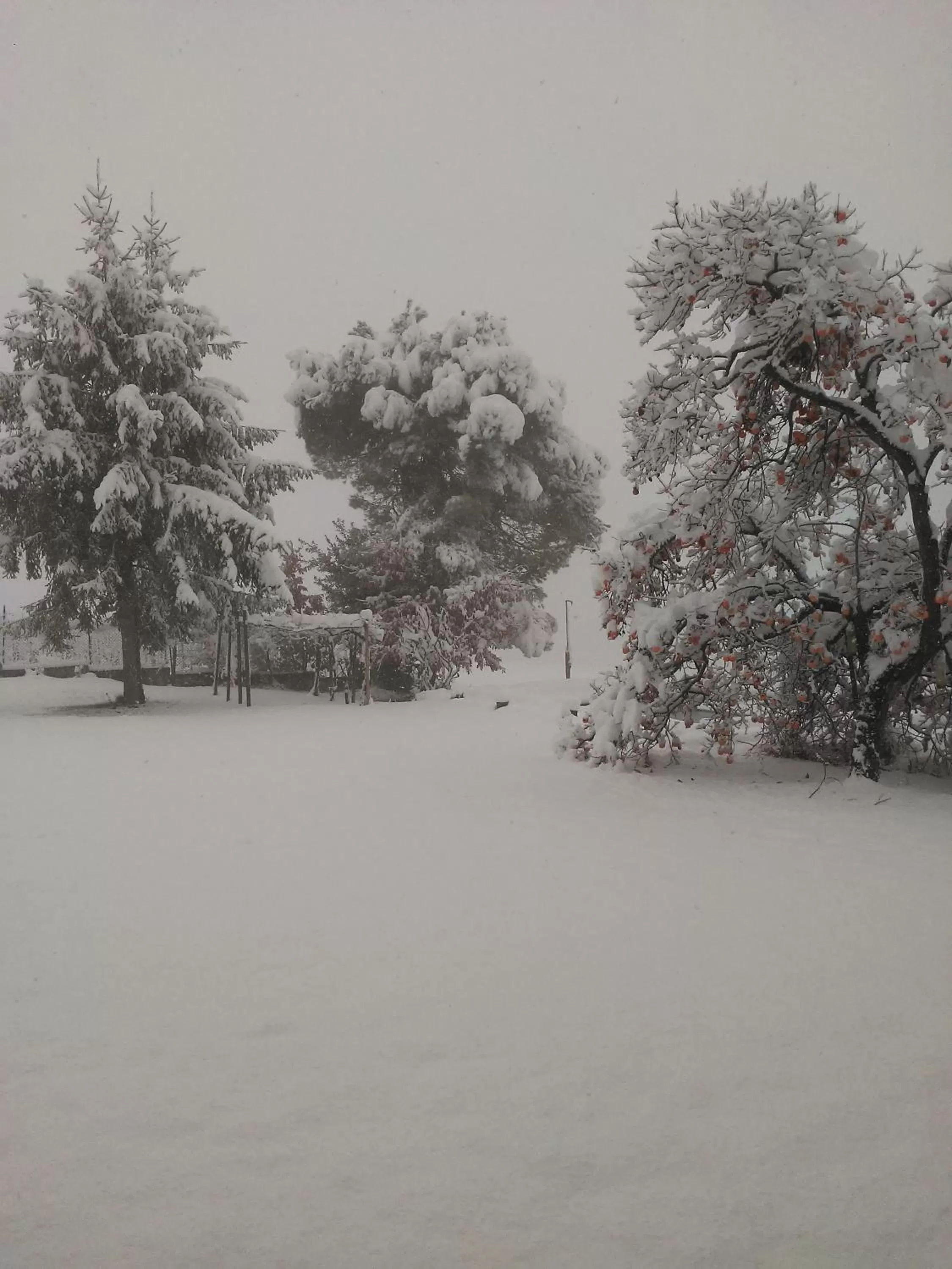 Natural landscape in Cascina Torello