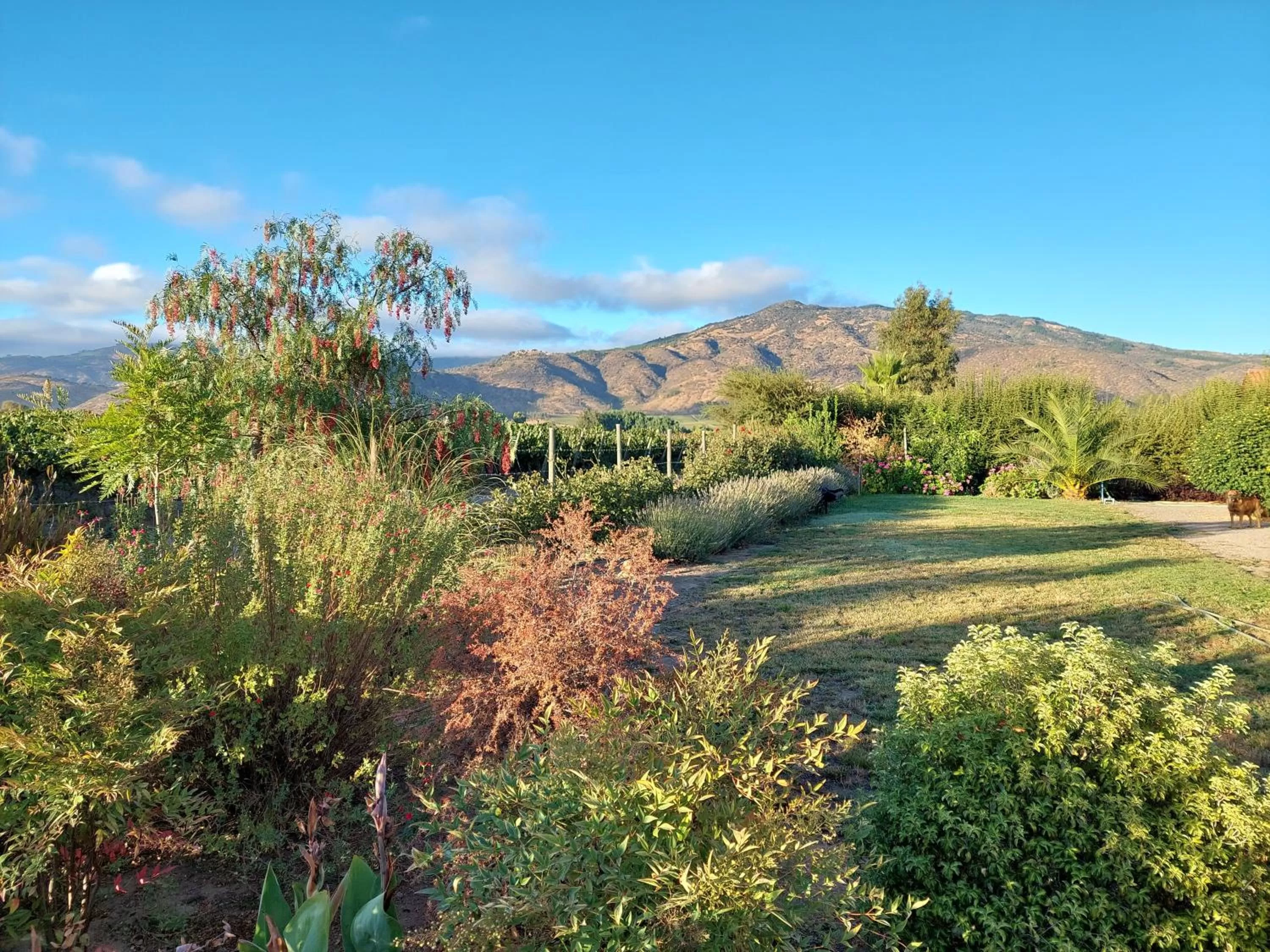 Natural landscape in Callihue Lodge