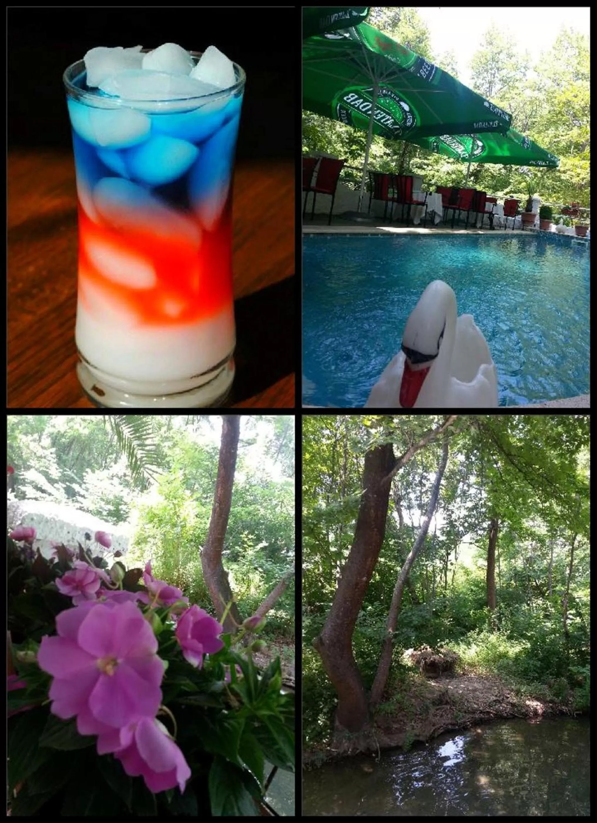 Garden in Villa Bella Boutique Hotel