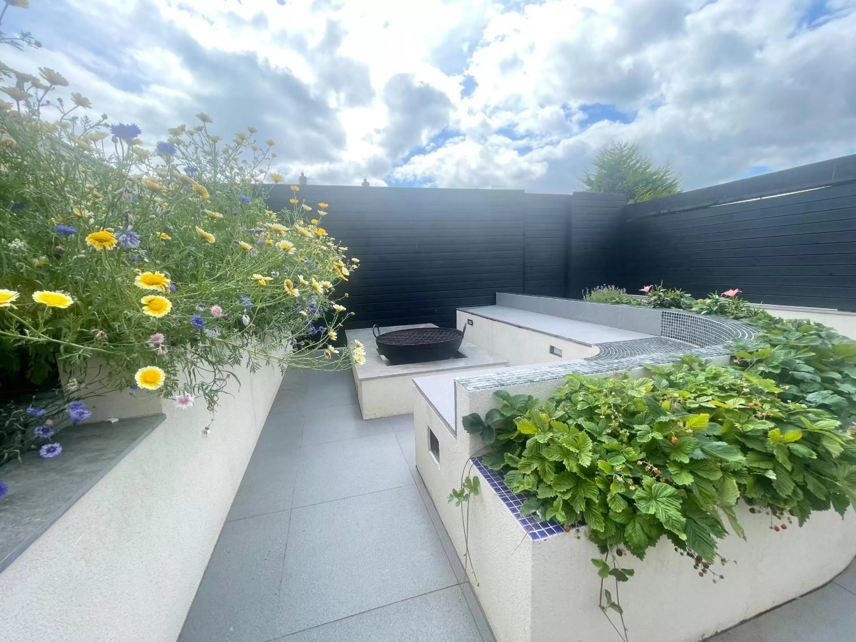 Garden in Farne Island rooms