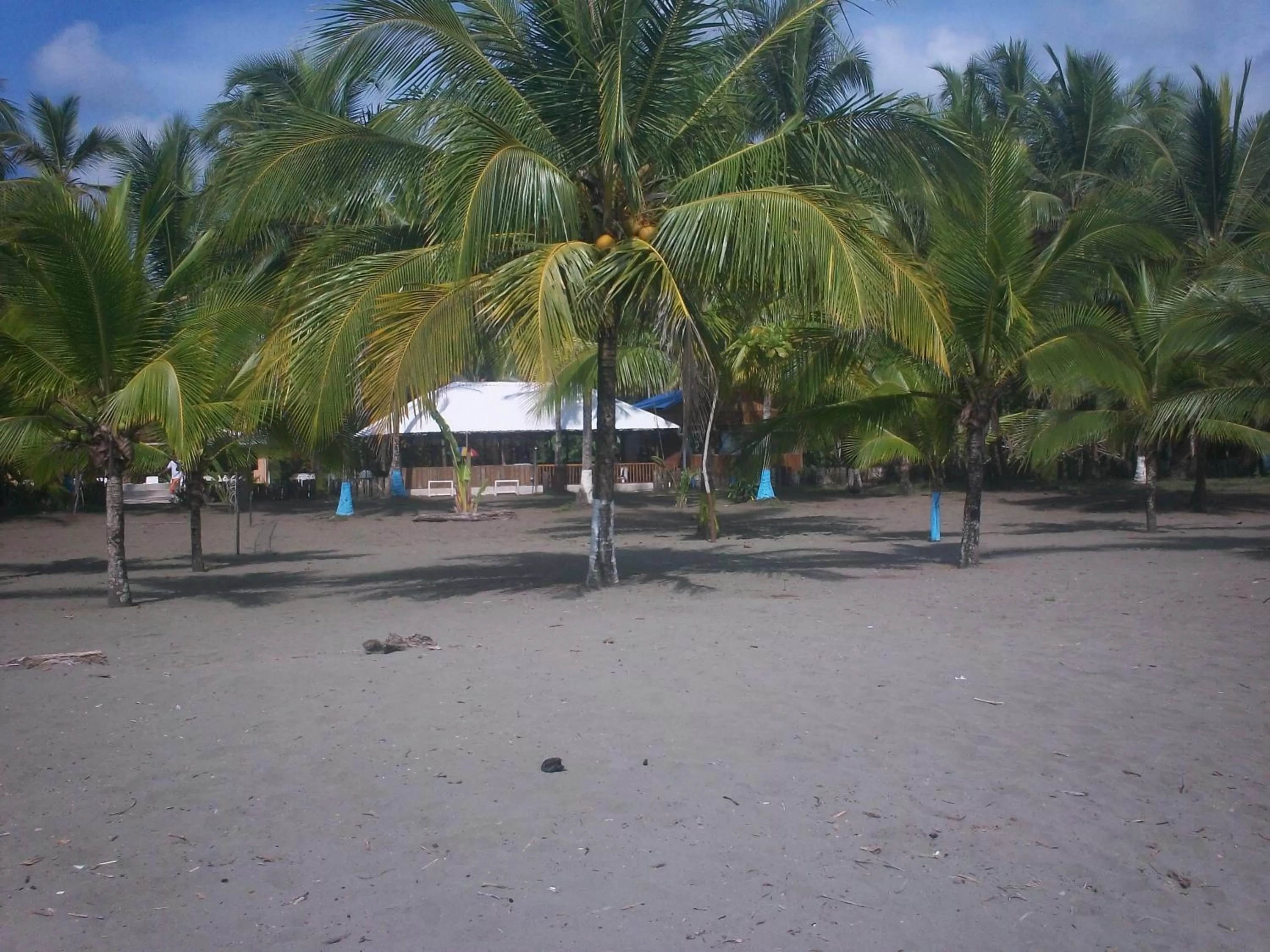 Other, Beach in Hotel Playa Westfalia