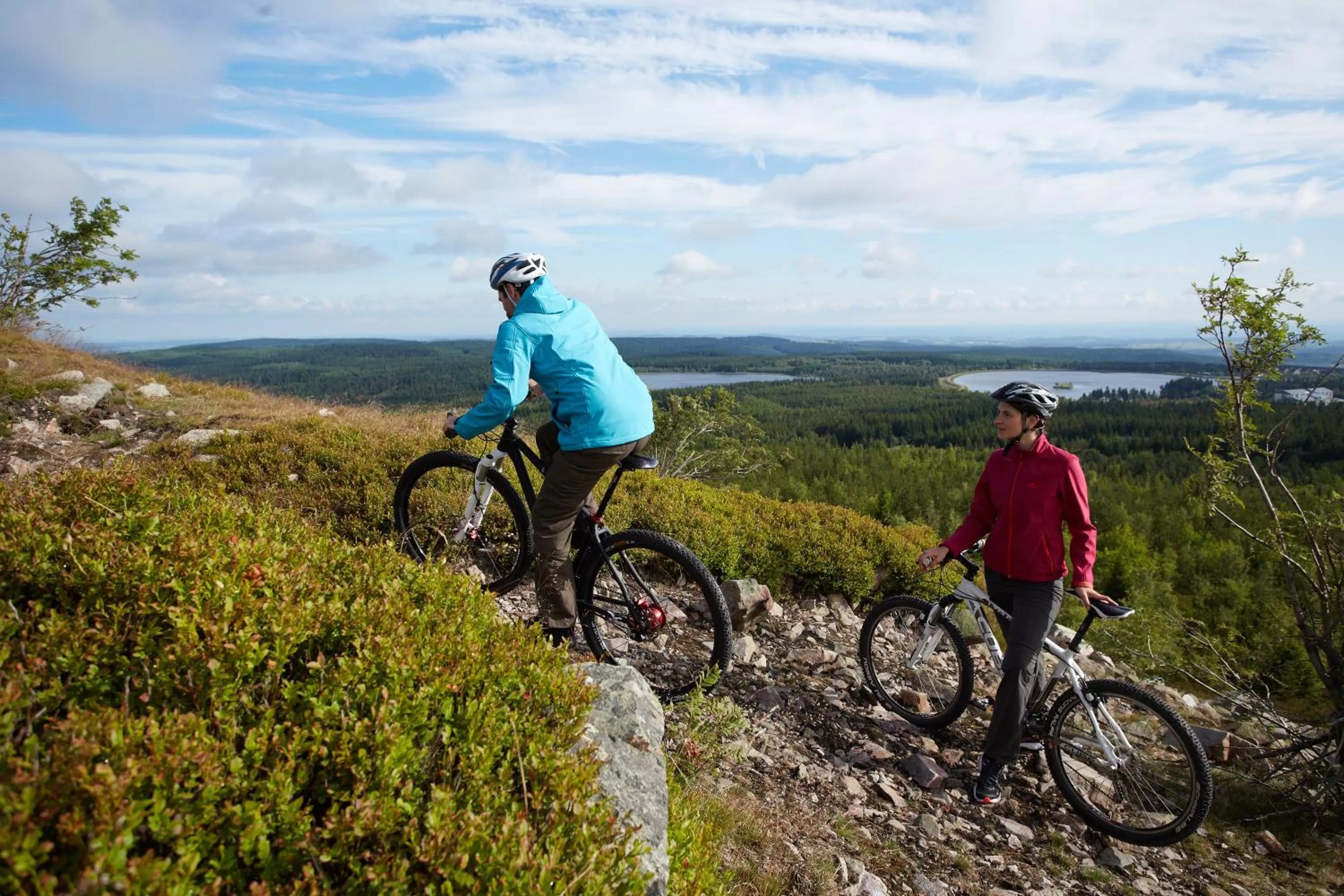 Natural landscape in Hotel Lugsteinhof