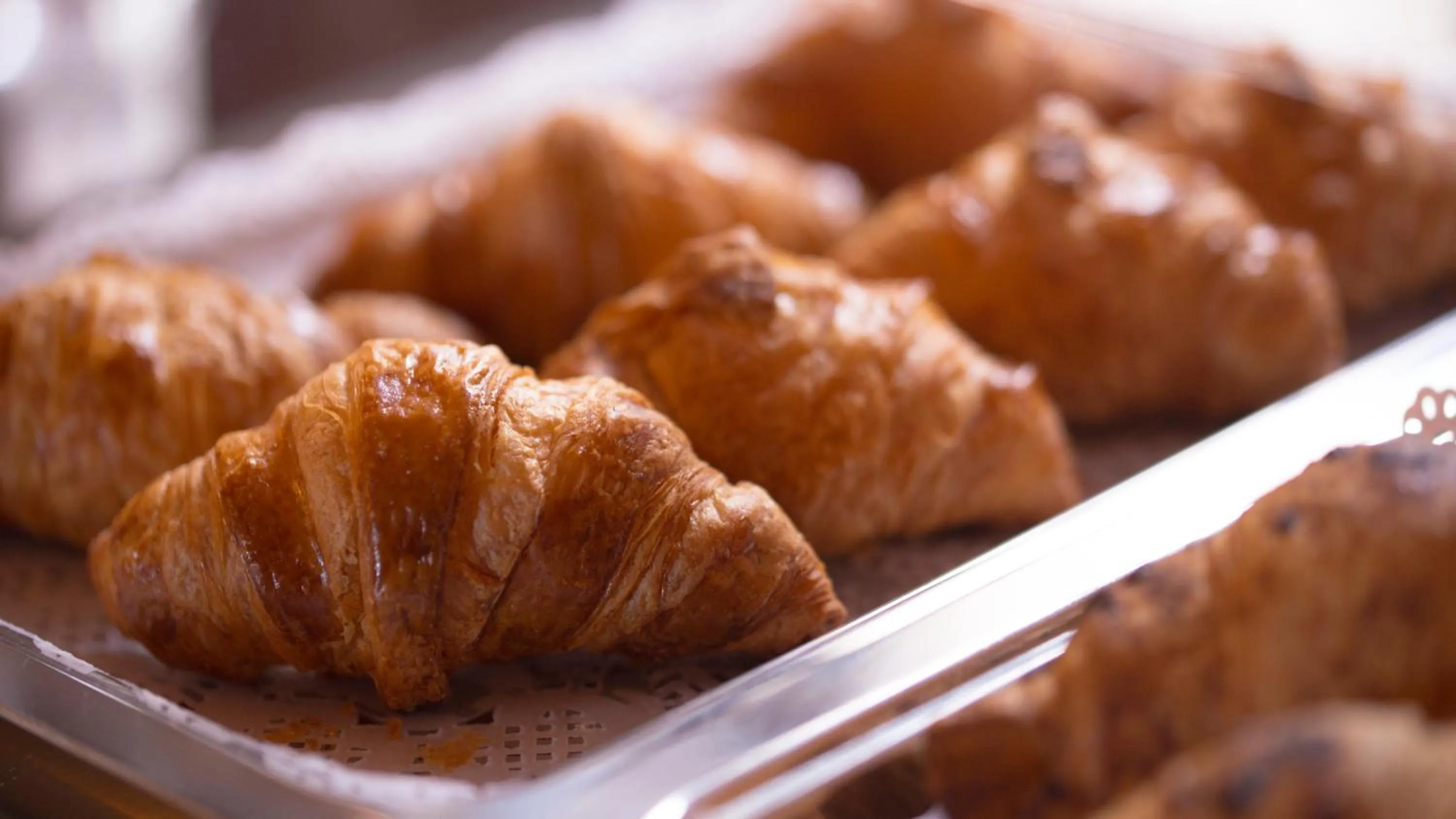 Food in Palazzo Viceconte