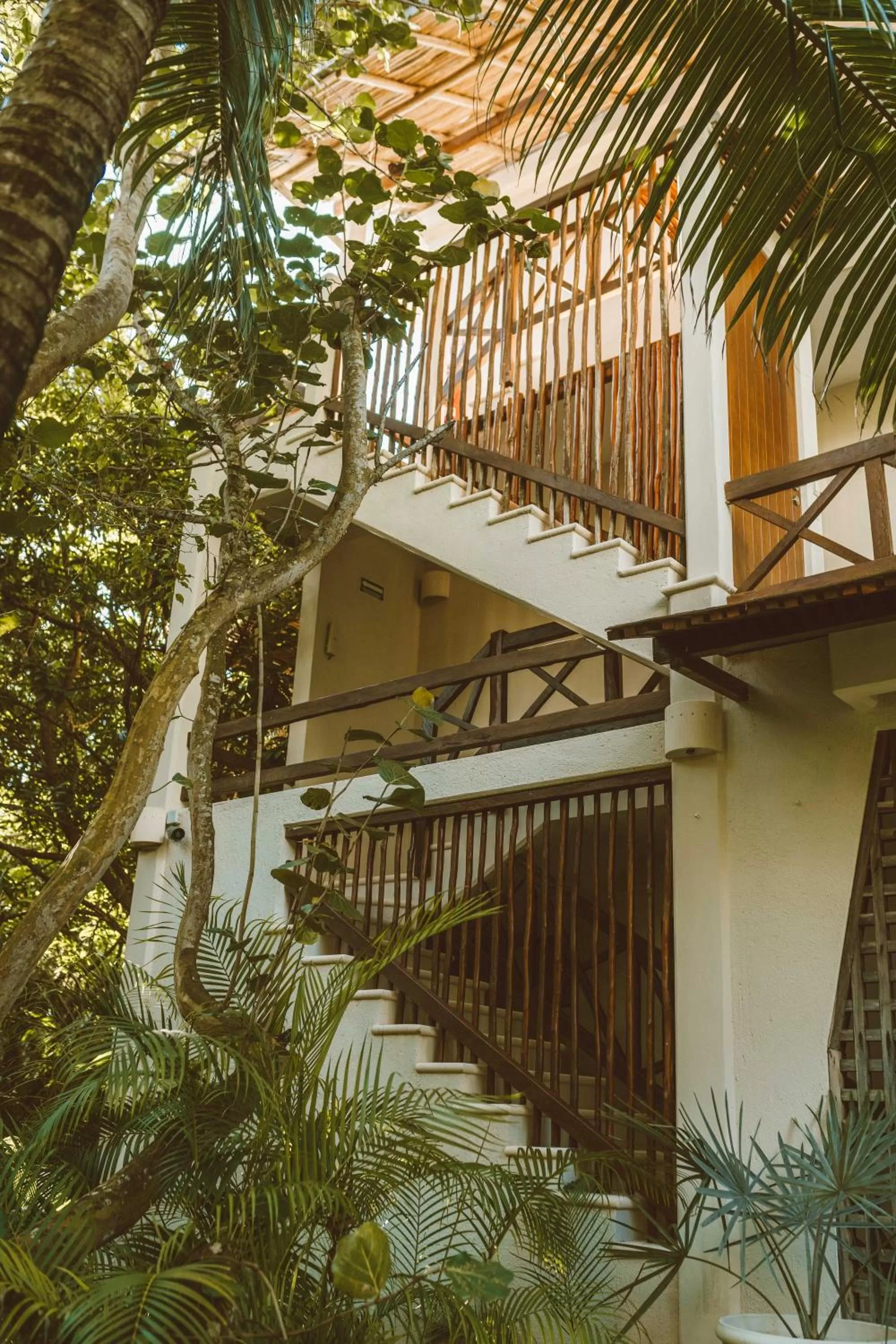 Property building in Jashita Hotel