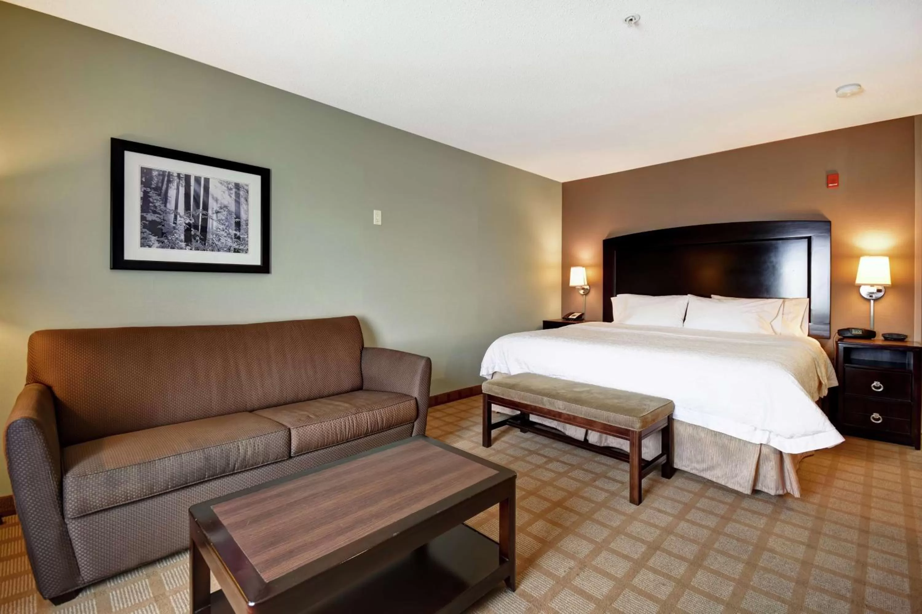 Living room, Bed in Hampton Inn & Suites Detroit-Canton