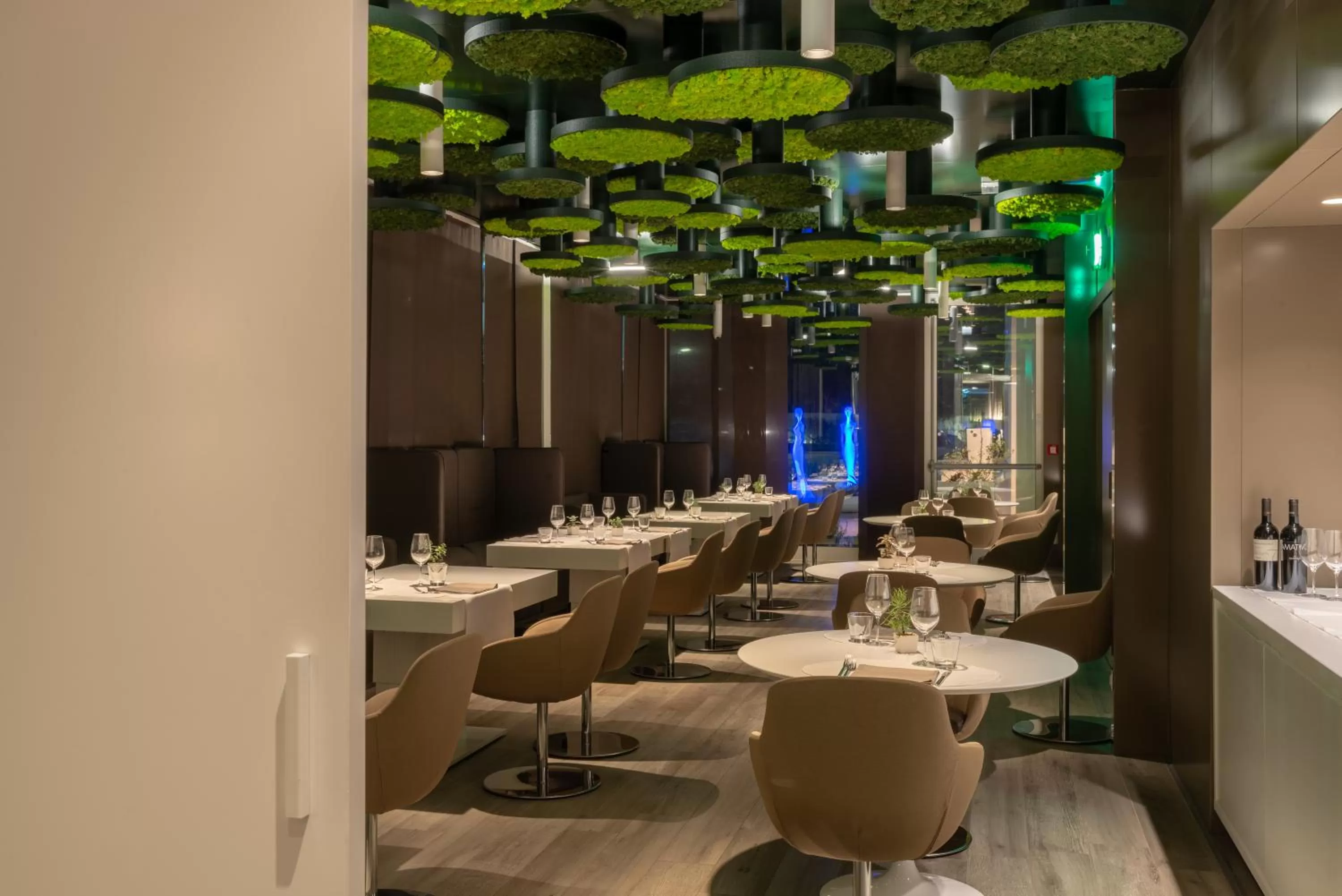 Restaurant/places to eat in 8Piuhotel