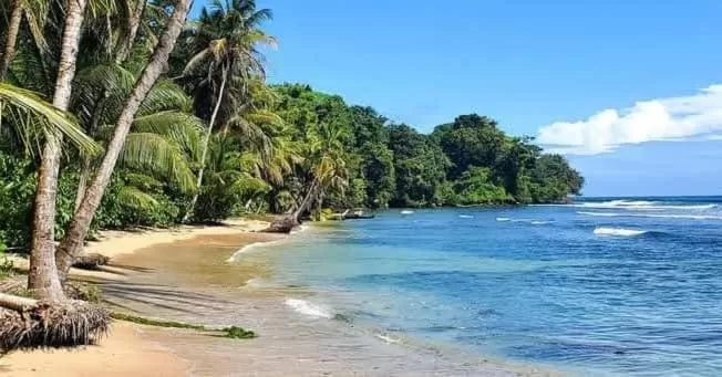 Beach in Tierra Verde Bed & Breakfast