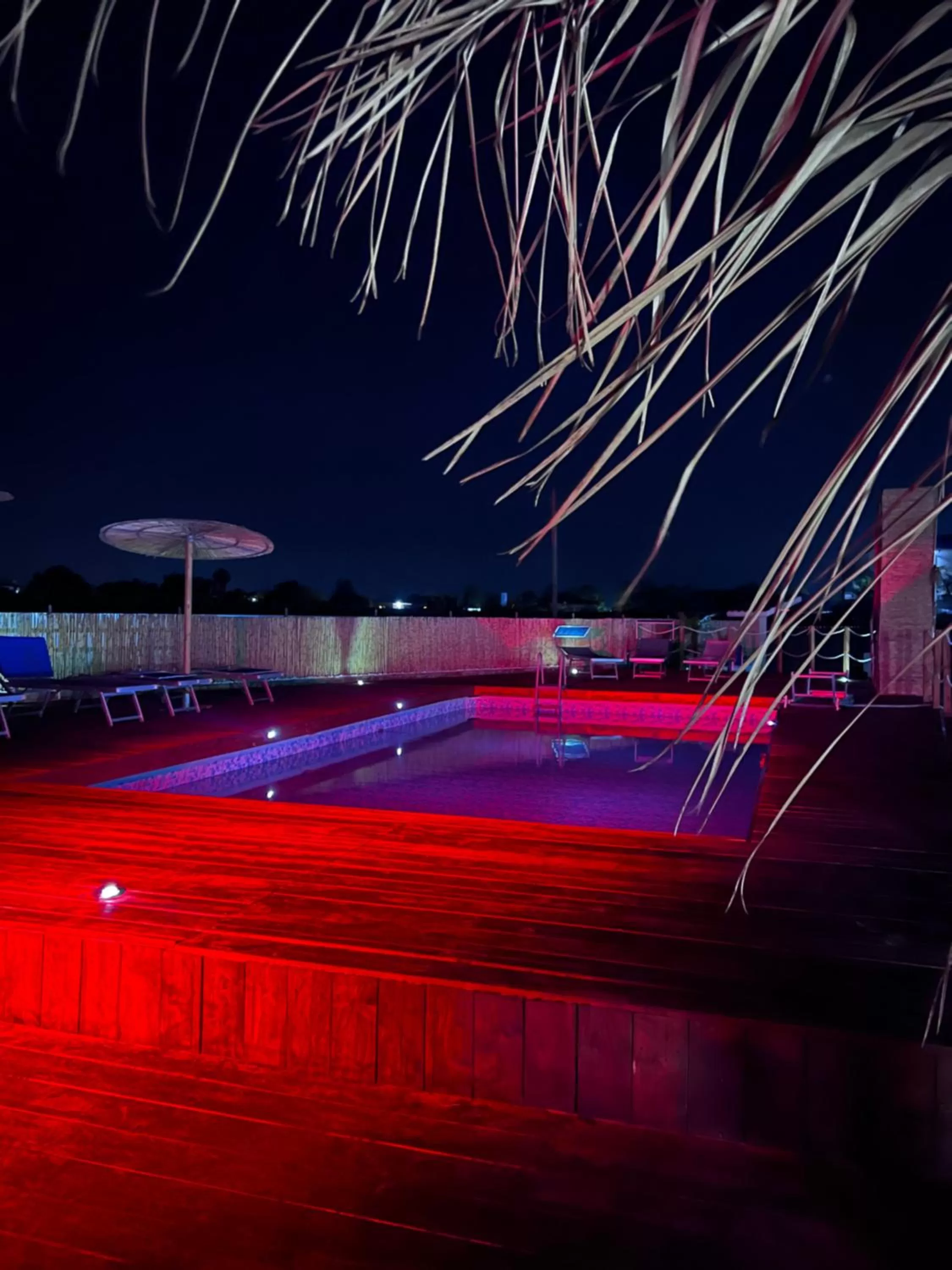 Swimming Pool in B&B Cleofà Paestum