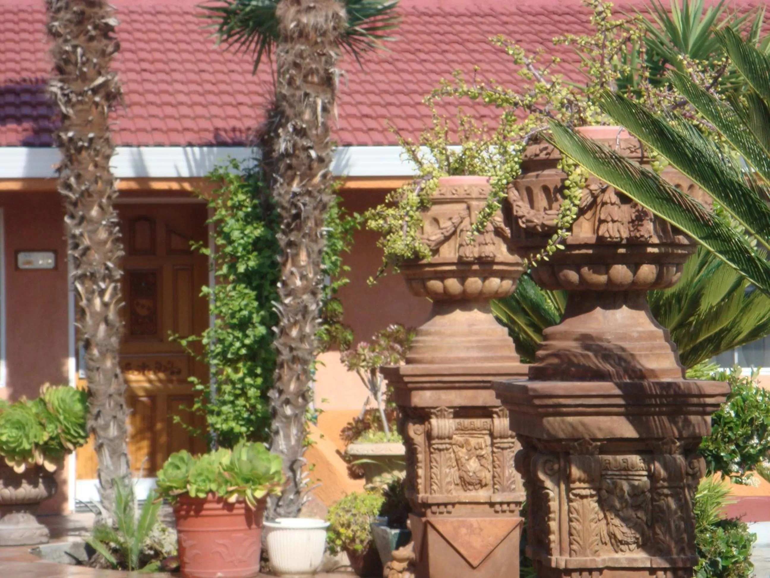 Garden in Economy Inn Los Banos