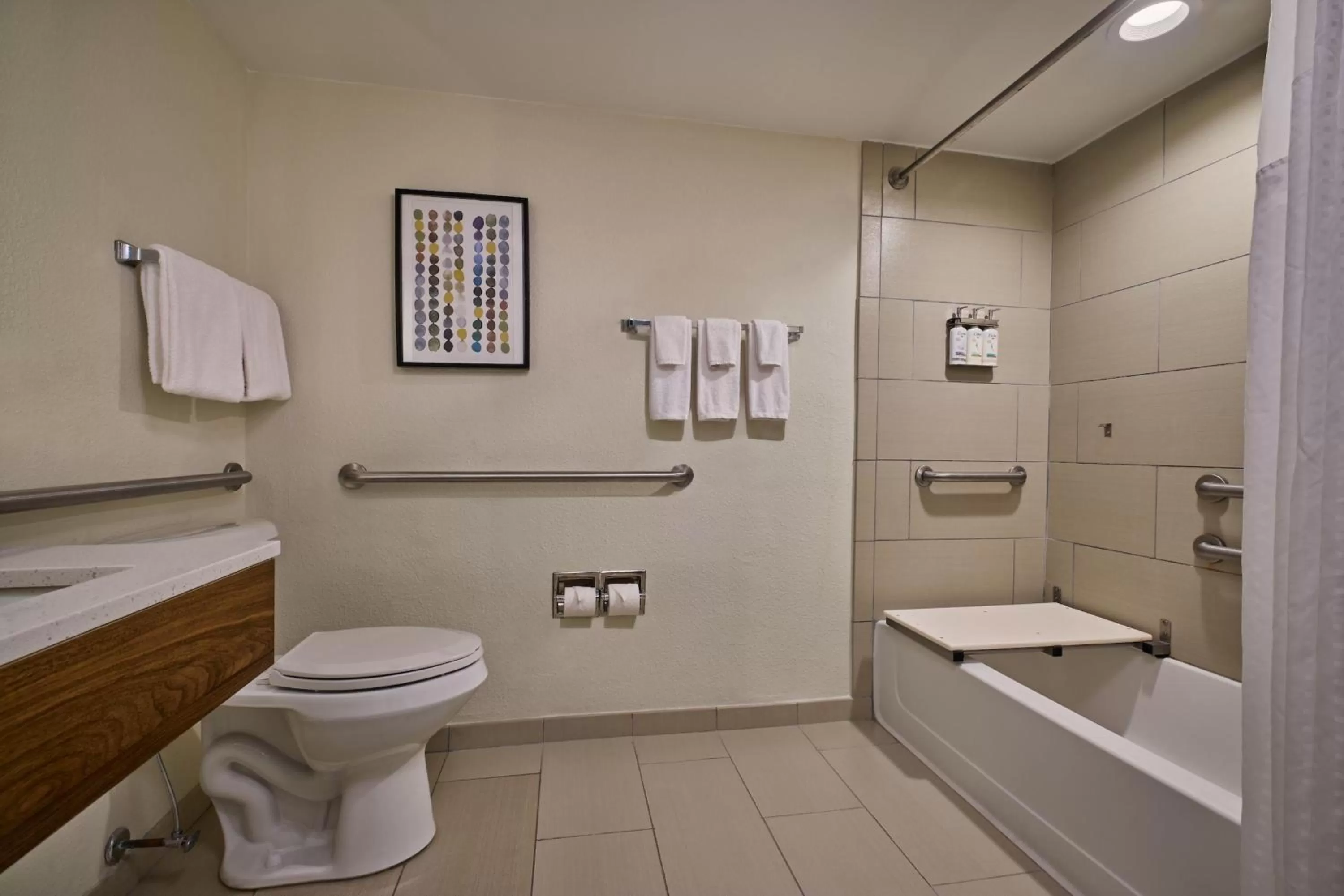 Bathroom in Holiday Inn Express & Suites Charleston DWTN -Westedge by IHG