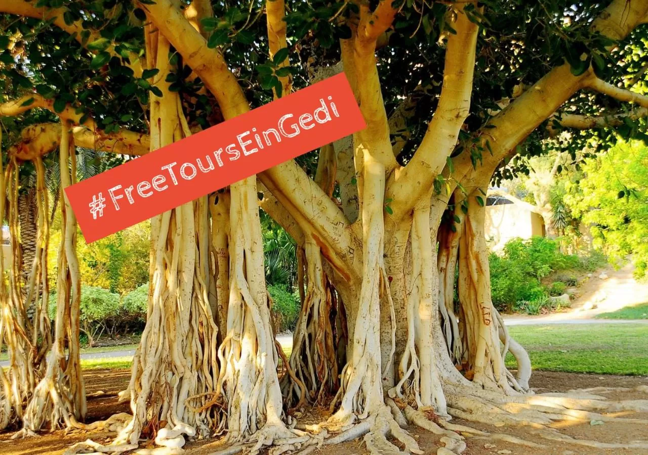 Nearby landmark in Ein Gedi Kibbutz Hotel