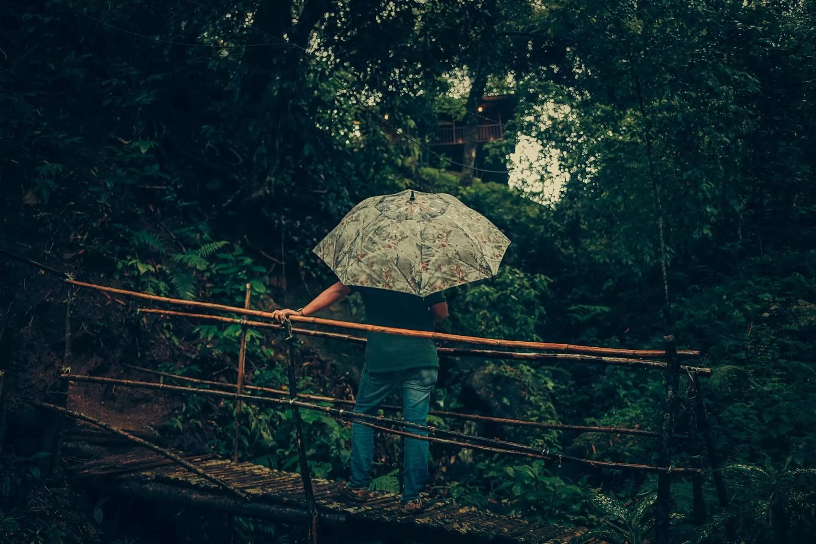 Area and facilities in Ela Ecoland Nature Retreat