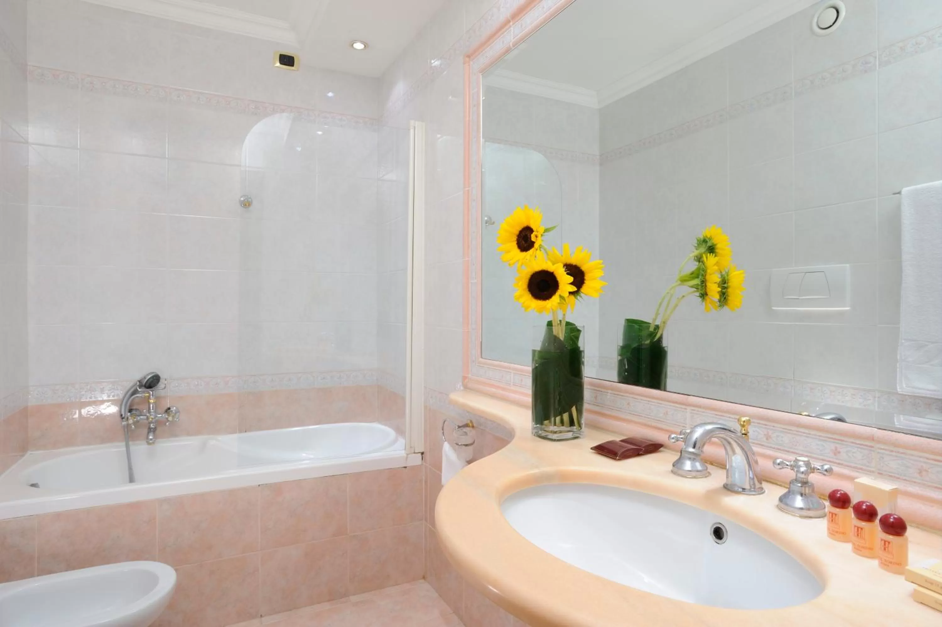 Bathroom in Hotel Torino