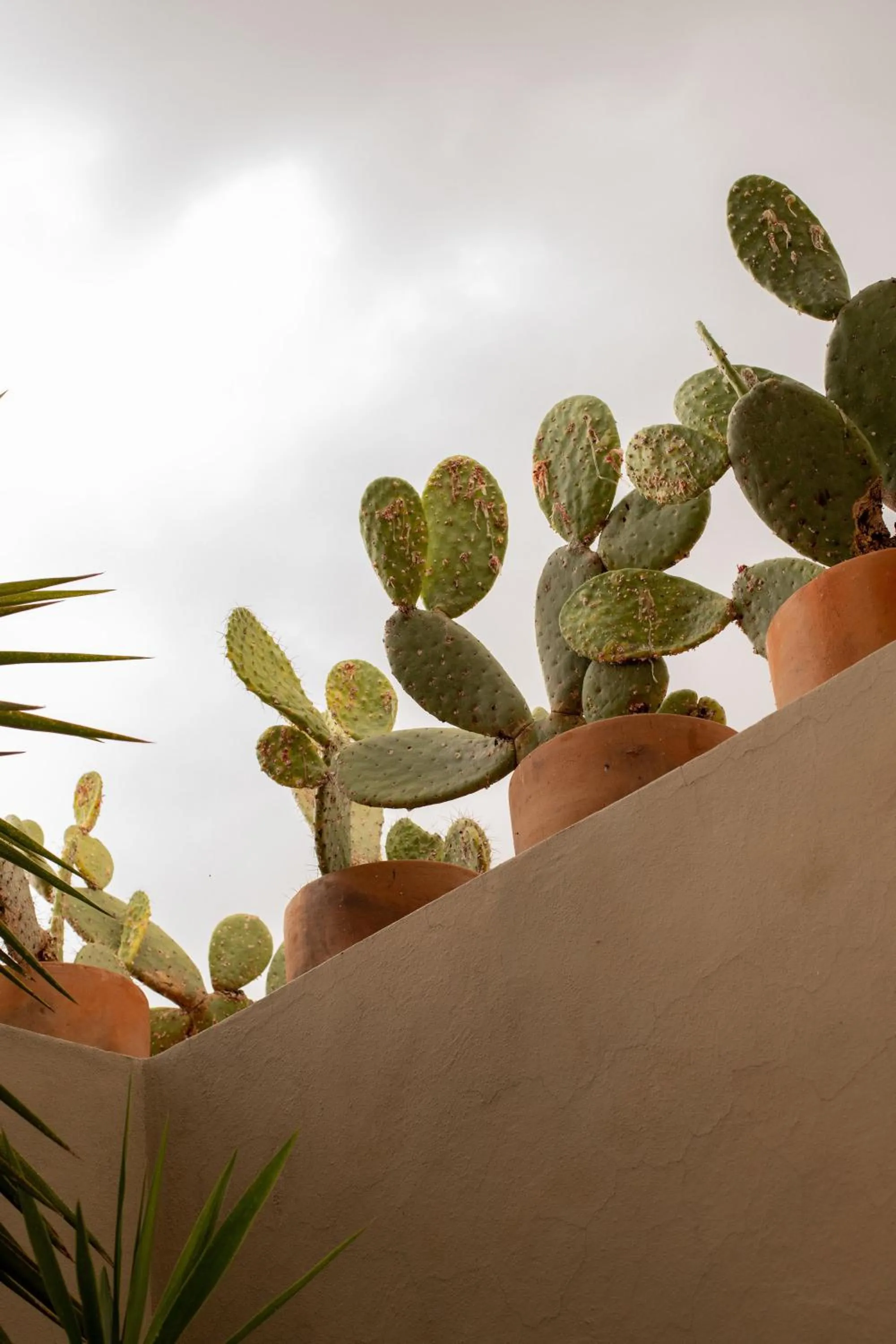 Casa Hoyos - Hotel Boutique