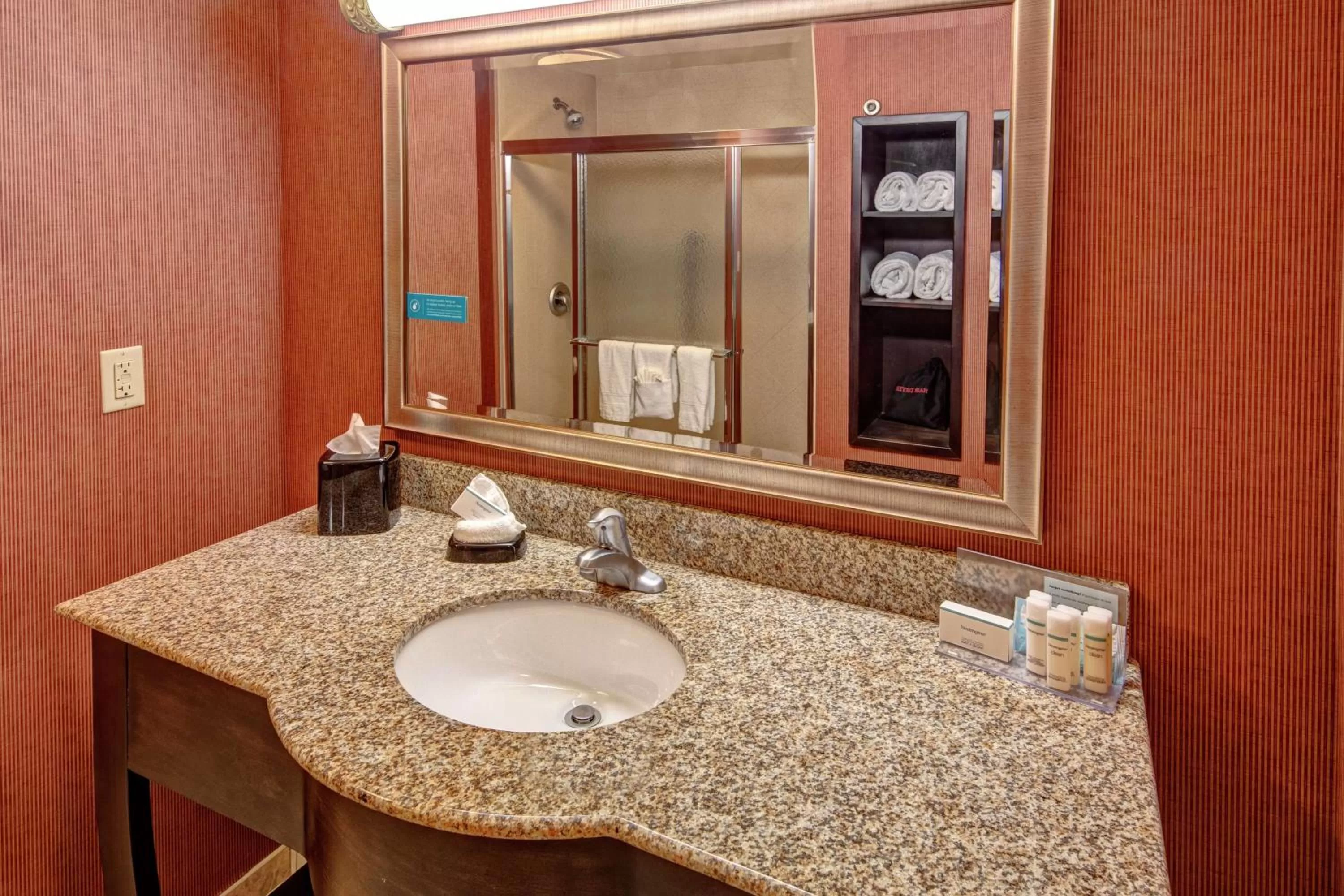 Bathroom in Hampton Inn Jacksonville
