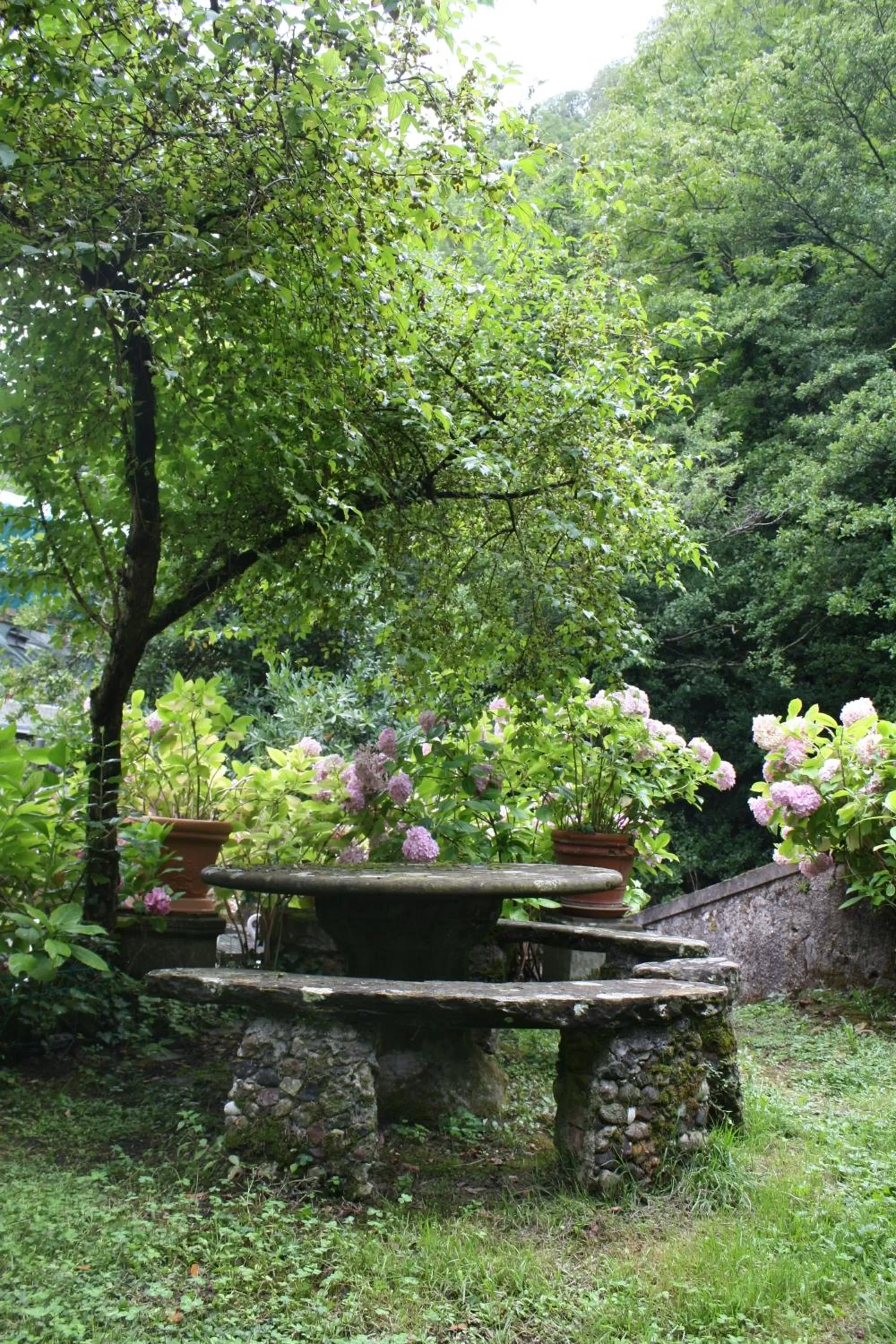 Garden in Tre Fiumi