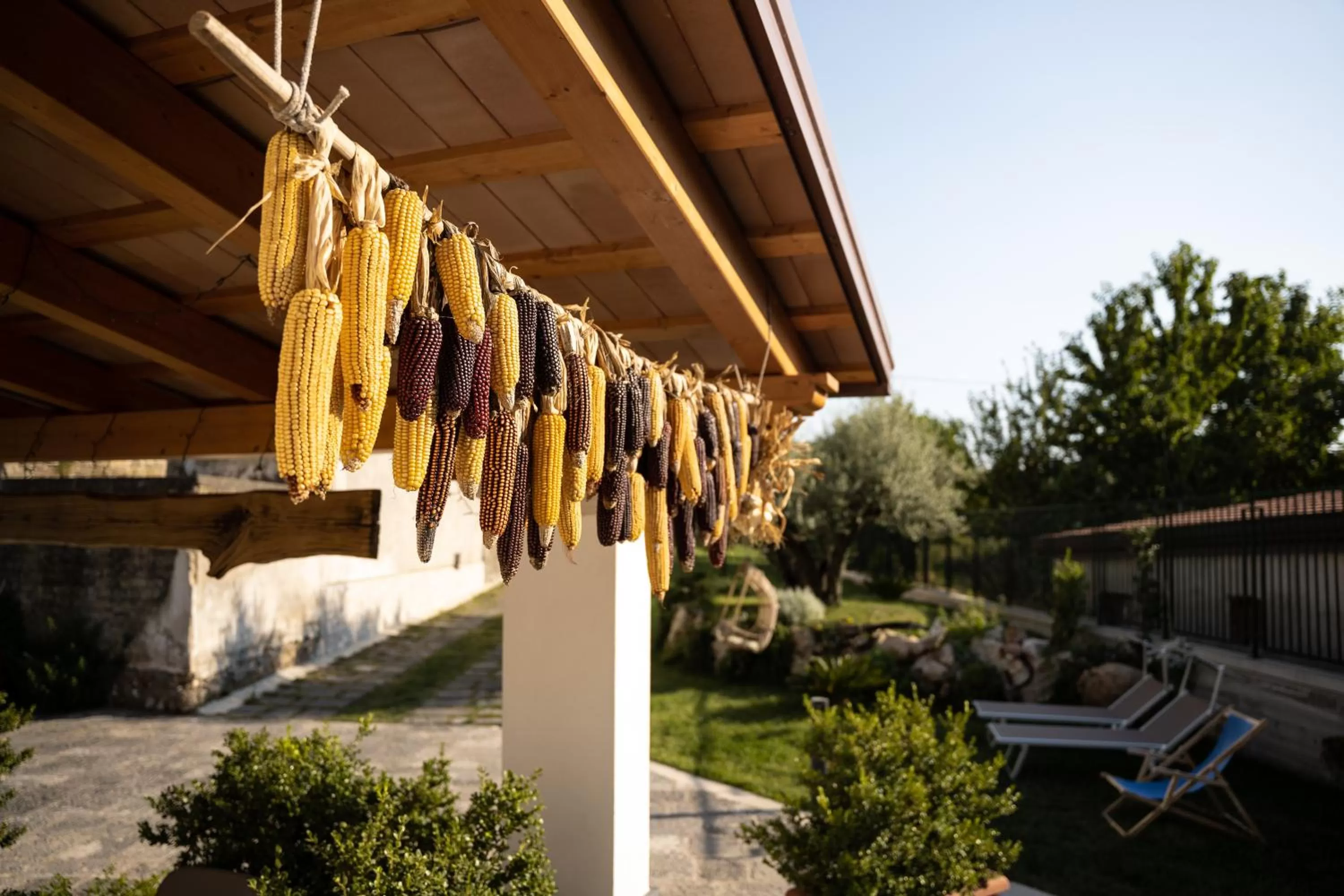 Garden in Al Chiaro di Luna