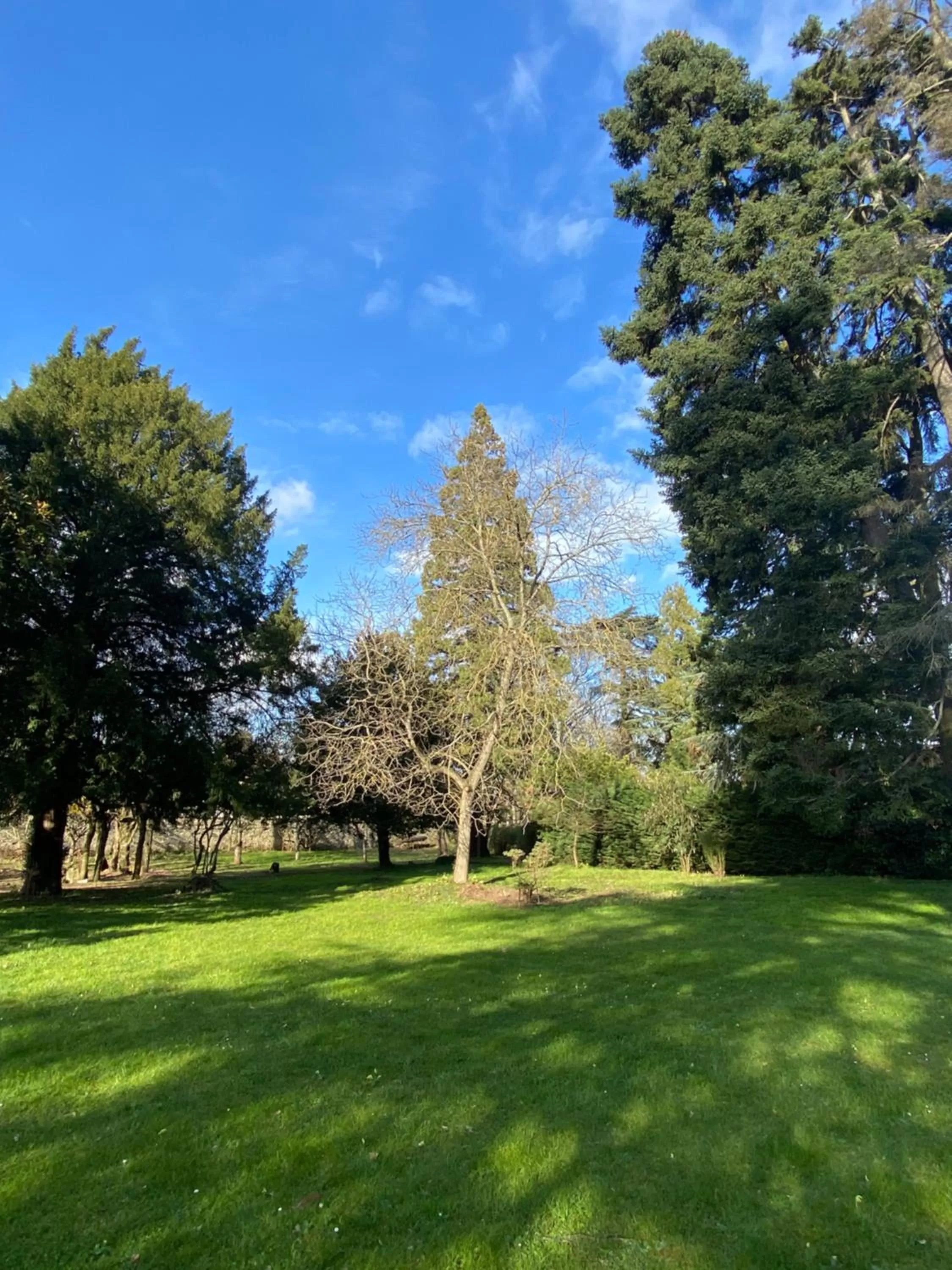 Natural landscape in Clos Ceres