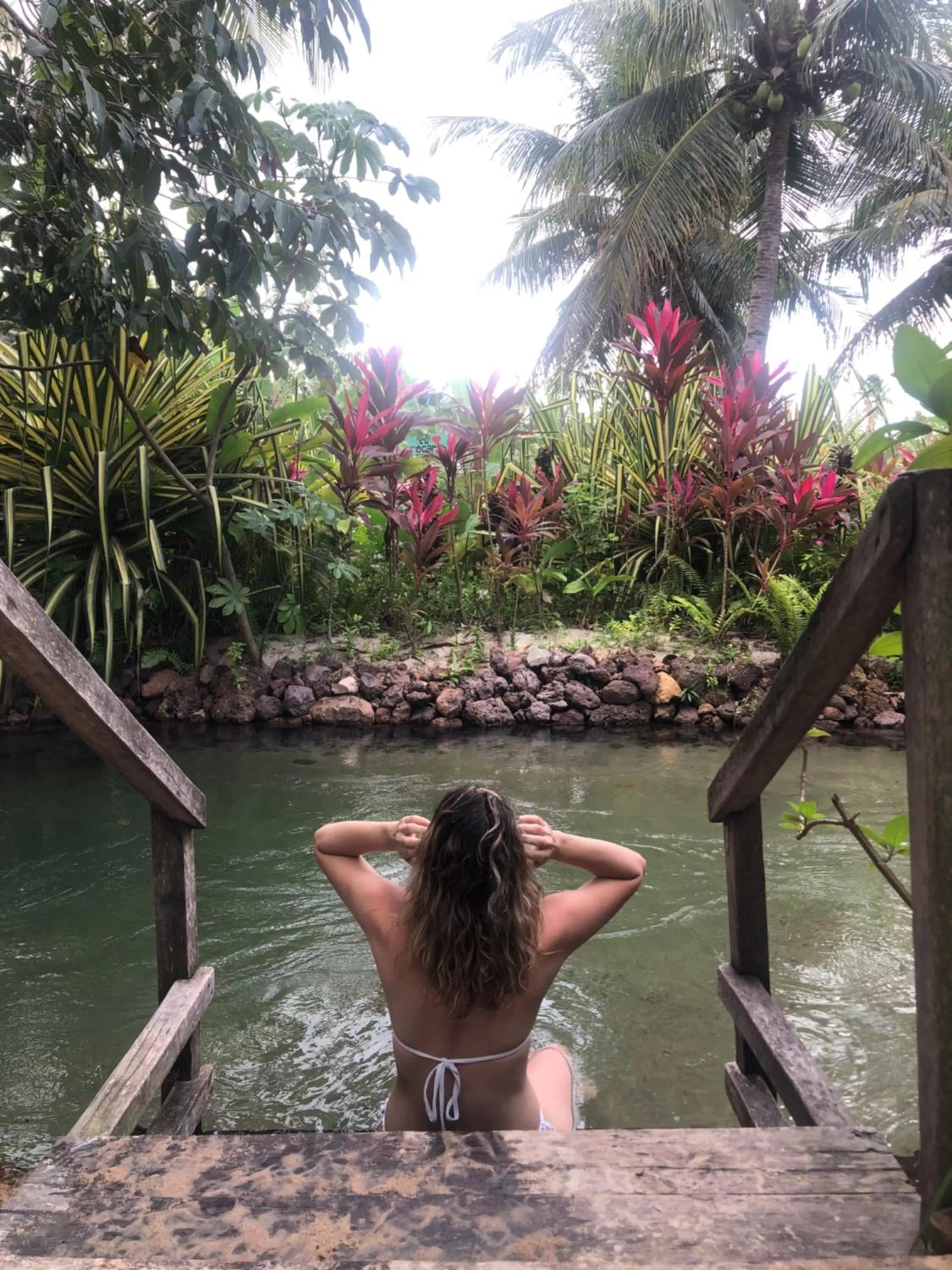 Spring, Other Animals in Hostel Das Canárias