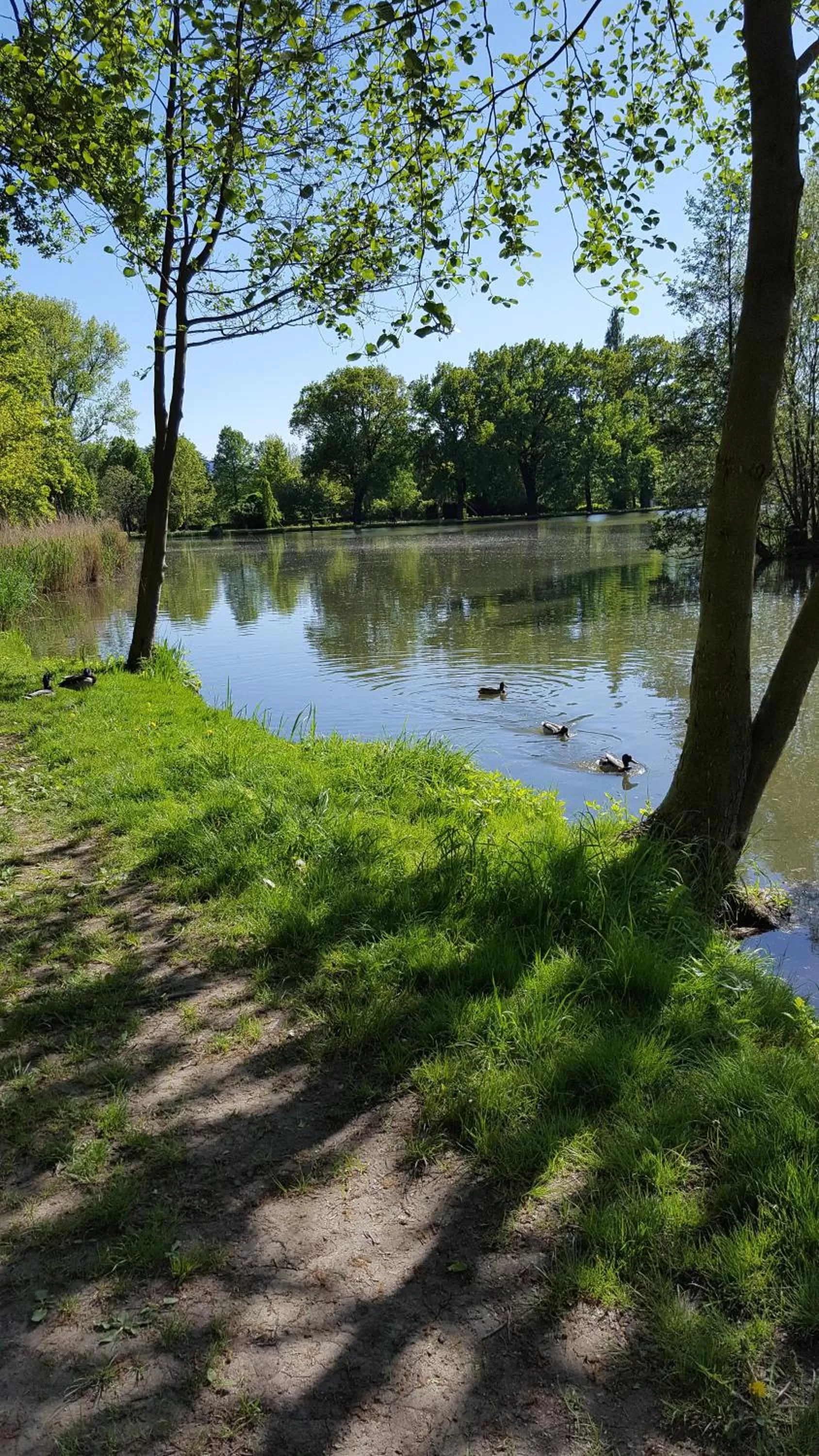 Natural landscape in Hotel Weberhof