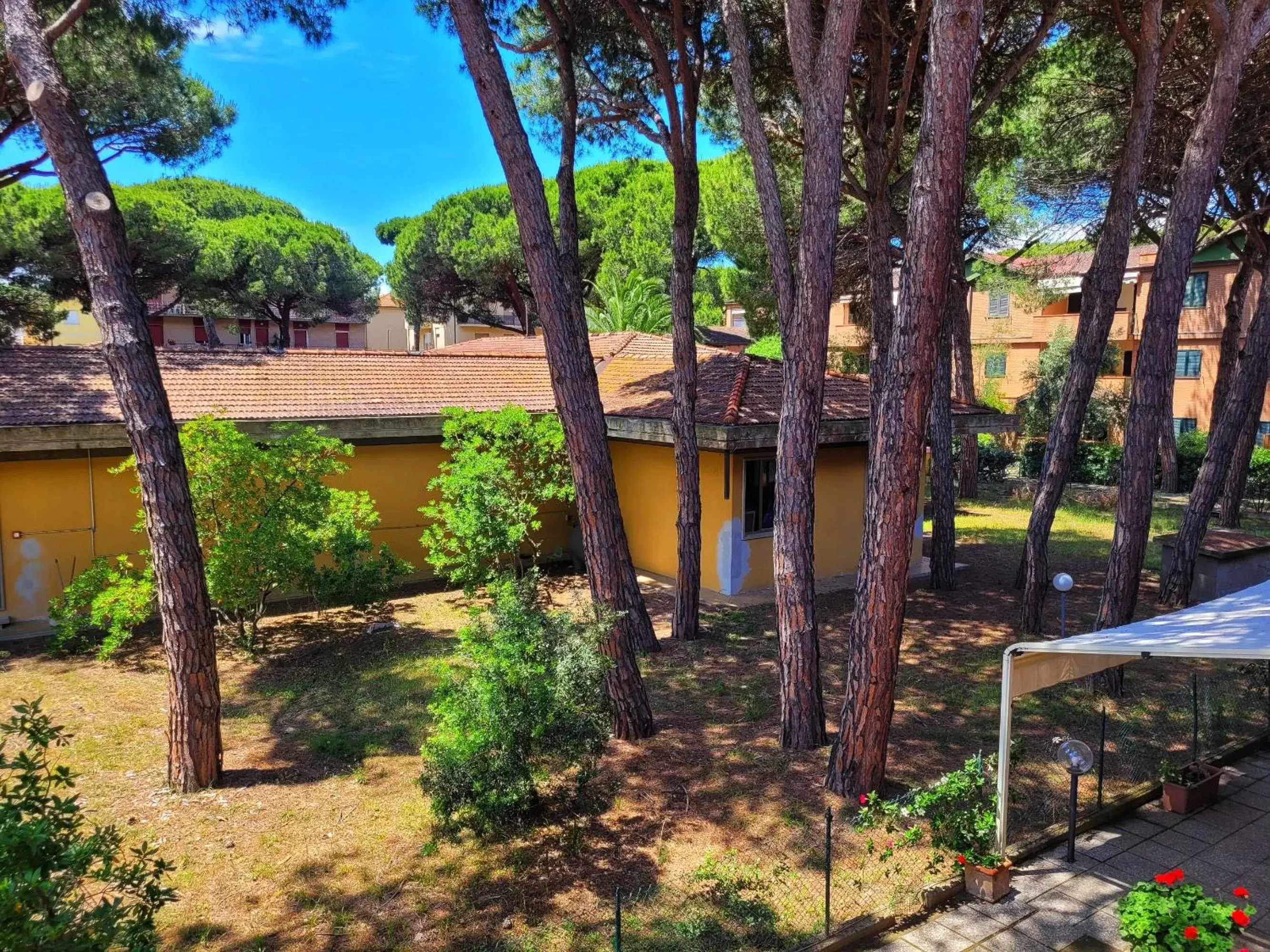 Studio with Garden View - single occupancy in Pineta Azzurra Studio with Garden View - single occupancy in Pineta Azzurra