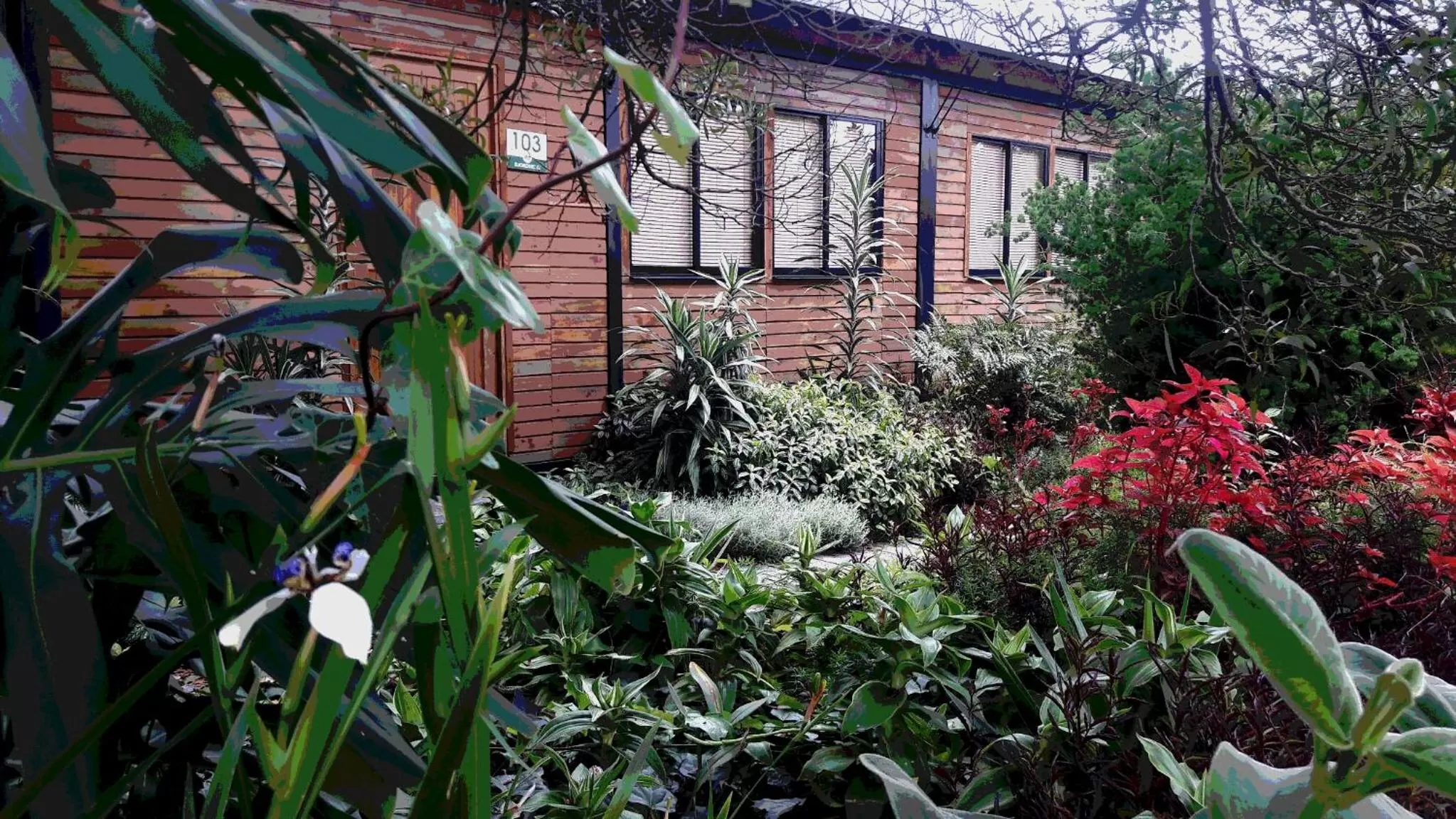Garden in ALTO LODGING Centro de Entrenamiento Deportivo y Negocios, a 2 pasos del Aeropuerto JMC, Transporte Incluido