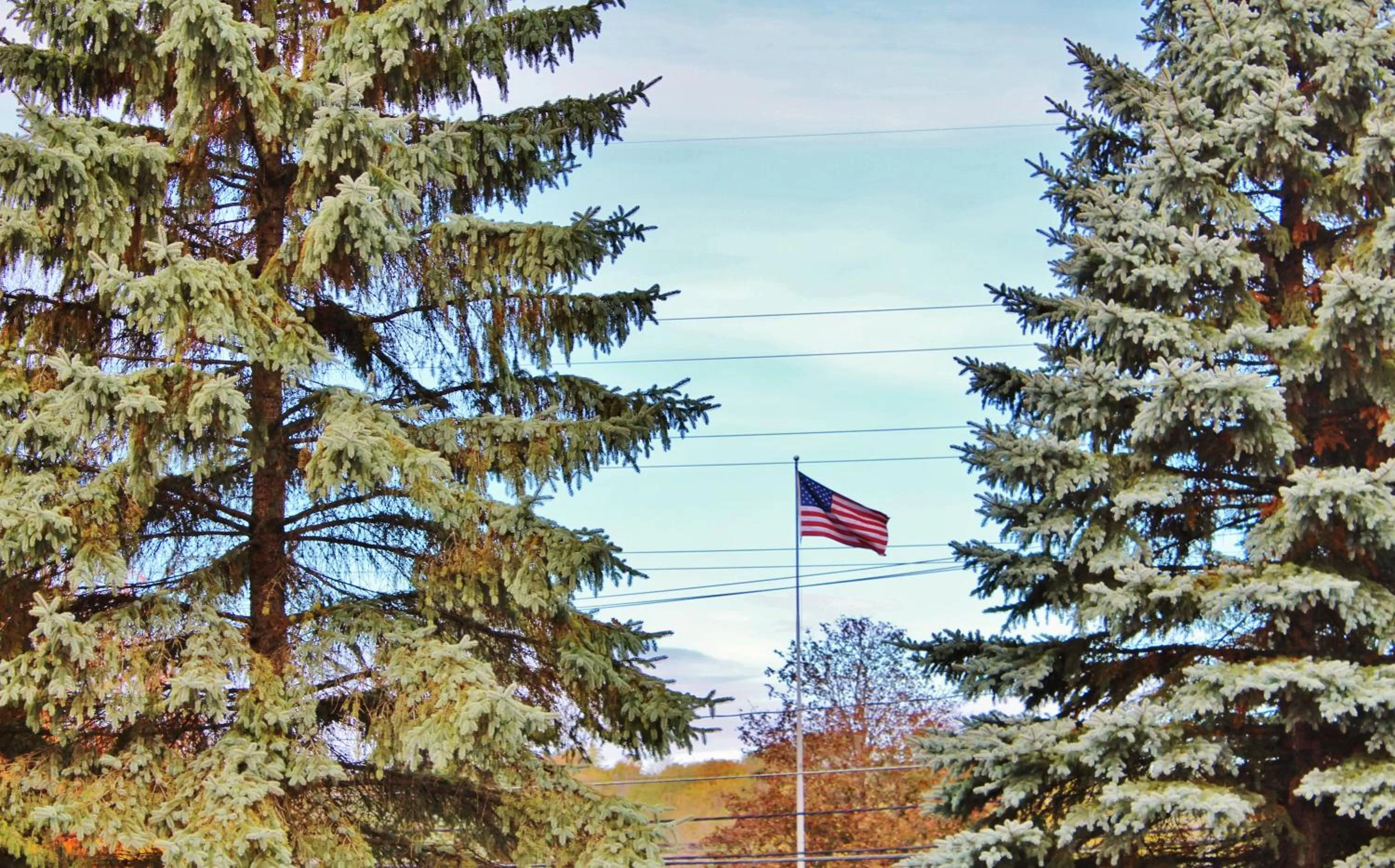 Property building in Blue Spruce Motel
