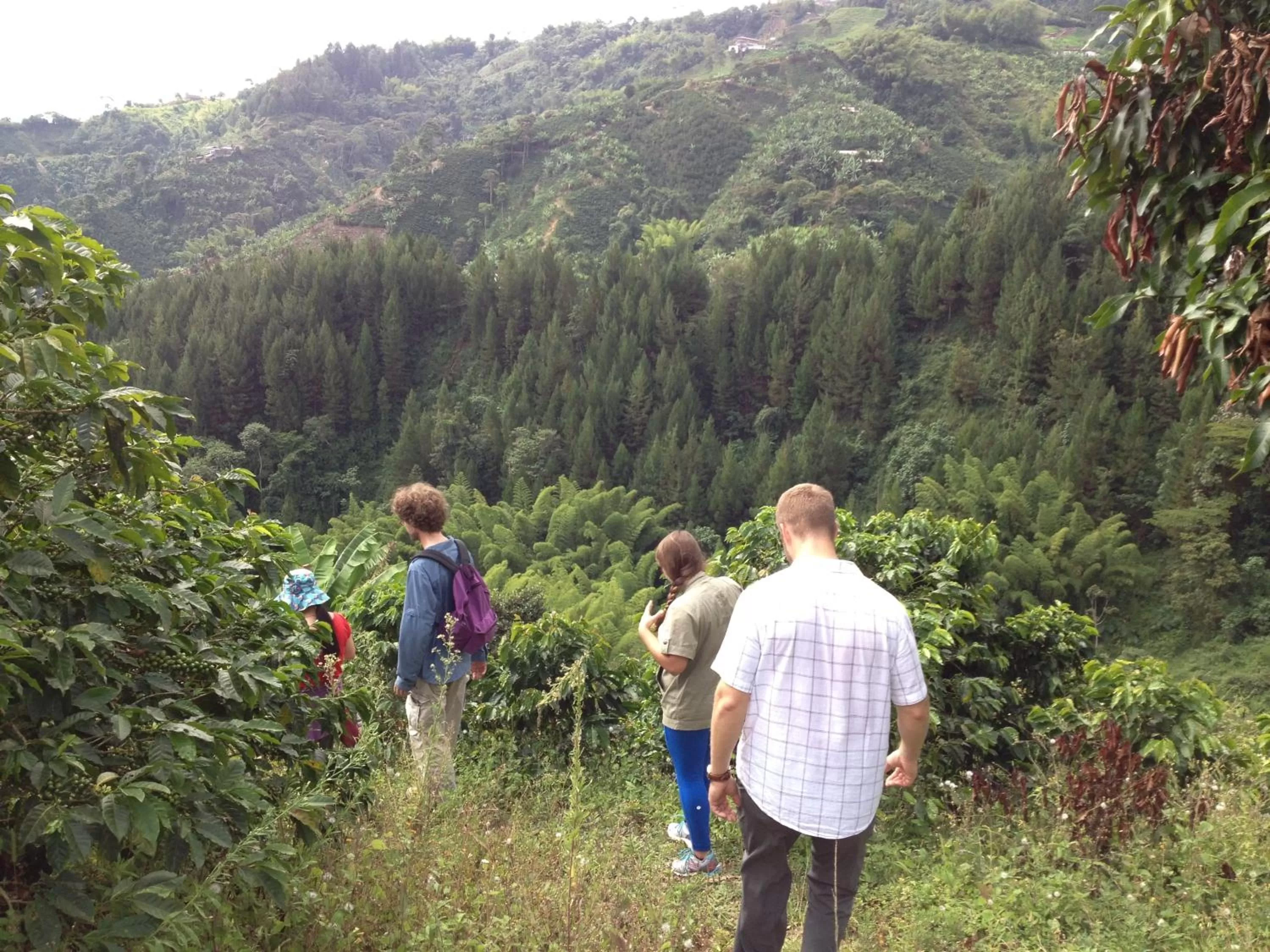 Entertainment, Family in Mirador Finca Morrogacho