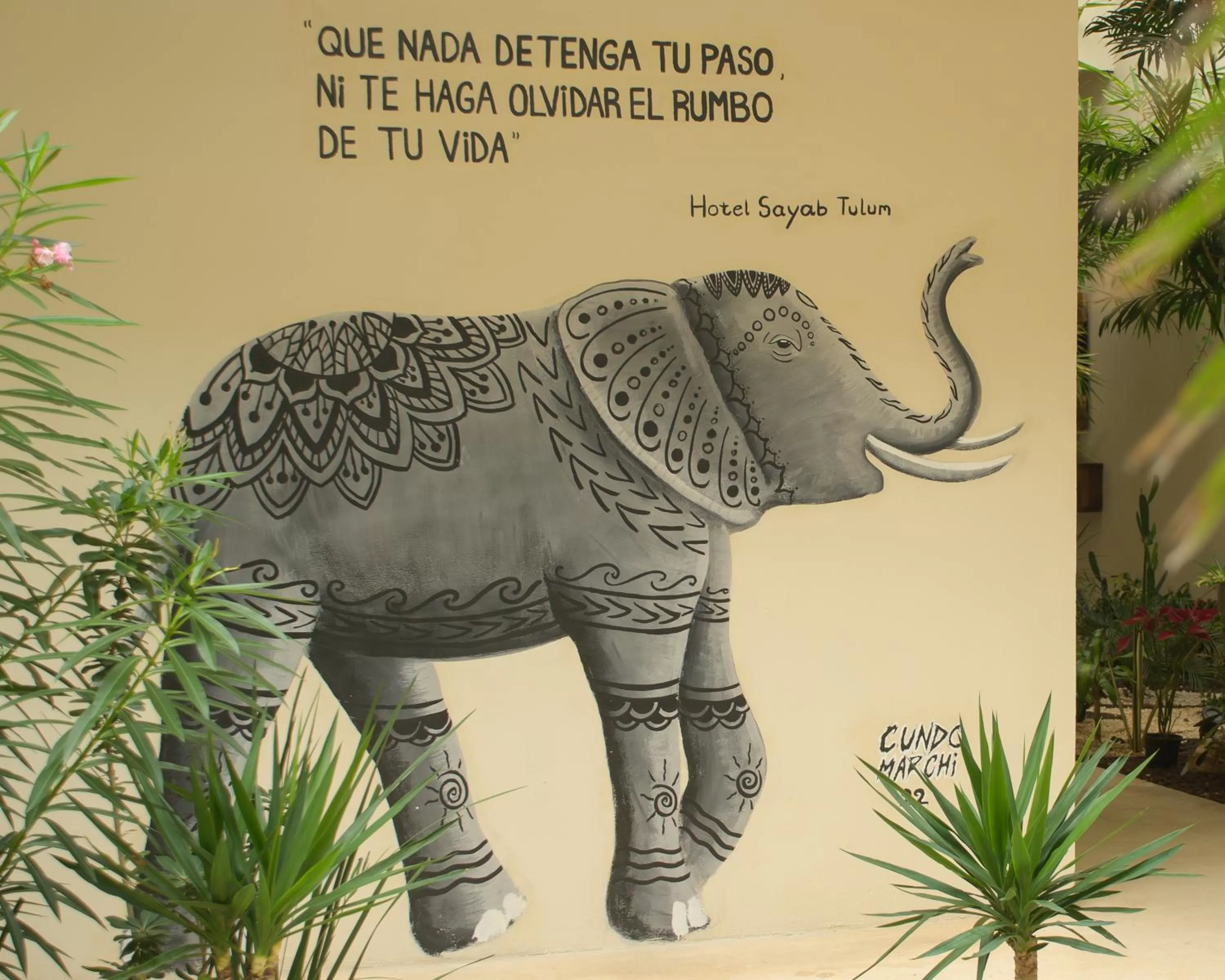 Garden in Moonshine Tulum Hotel & Hostel