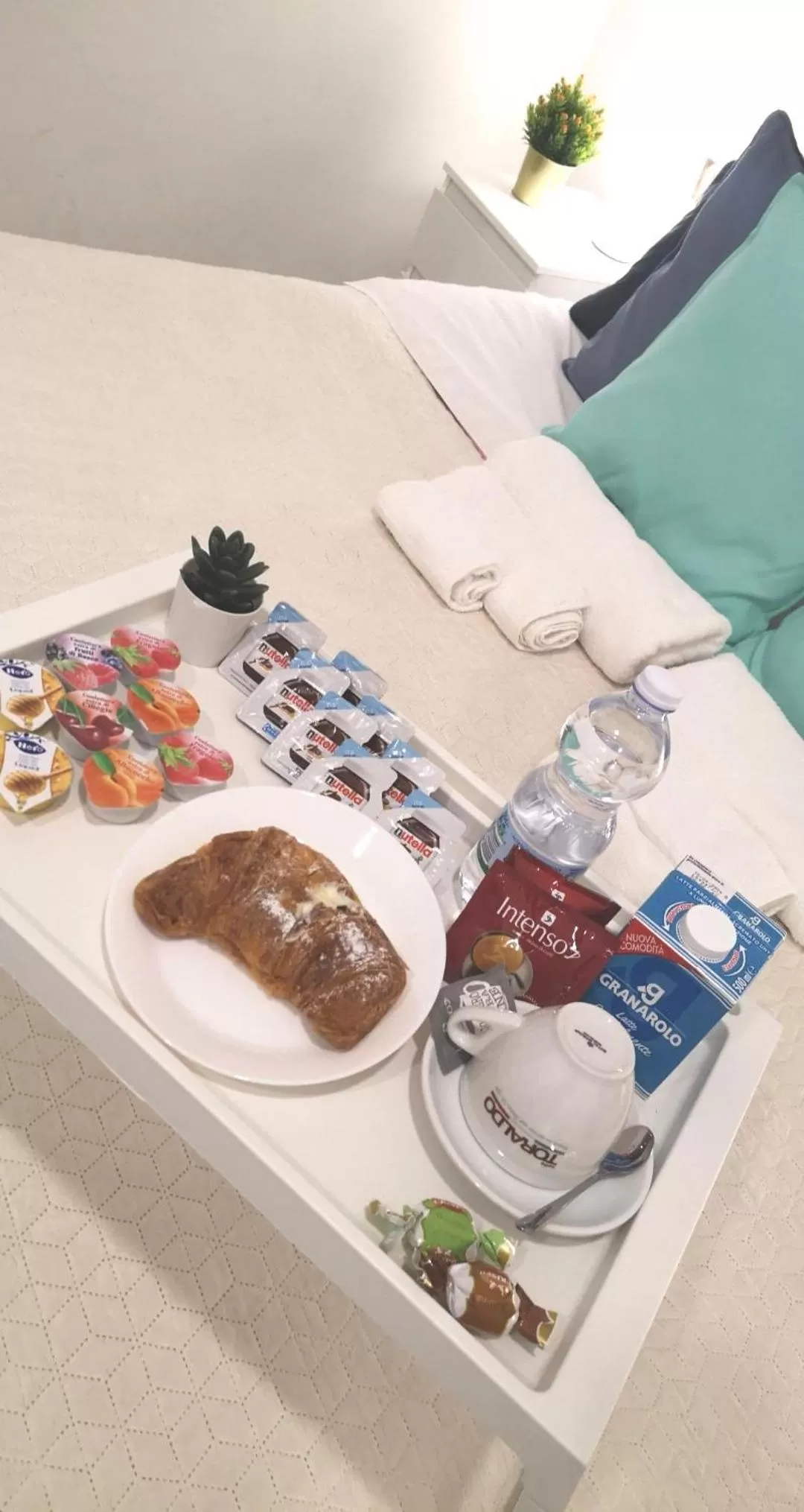 Domus Luigi Leone II