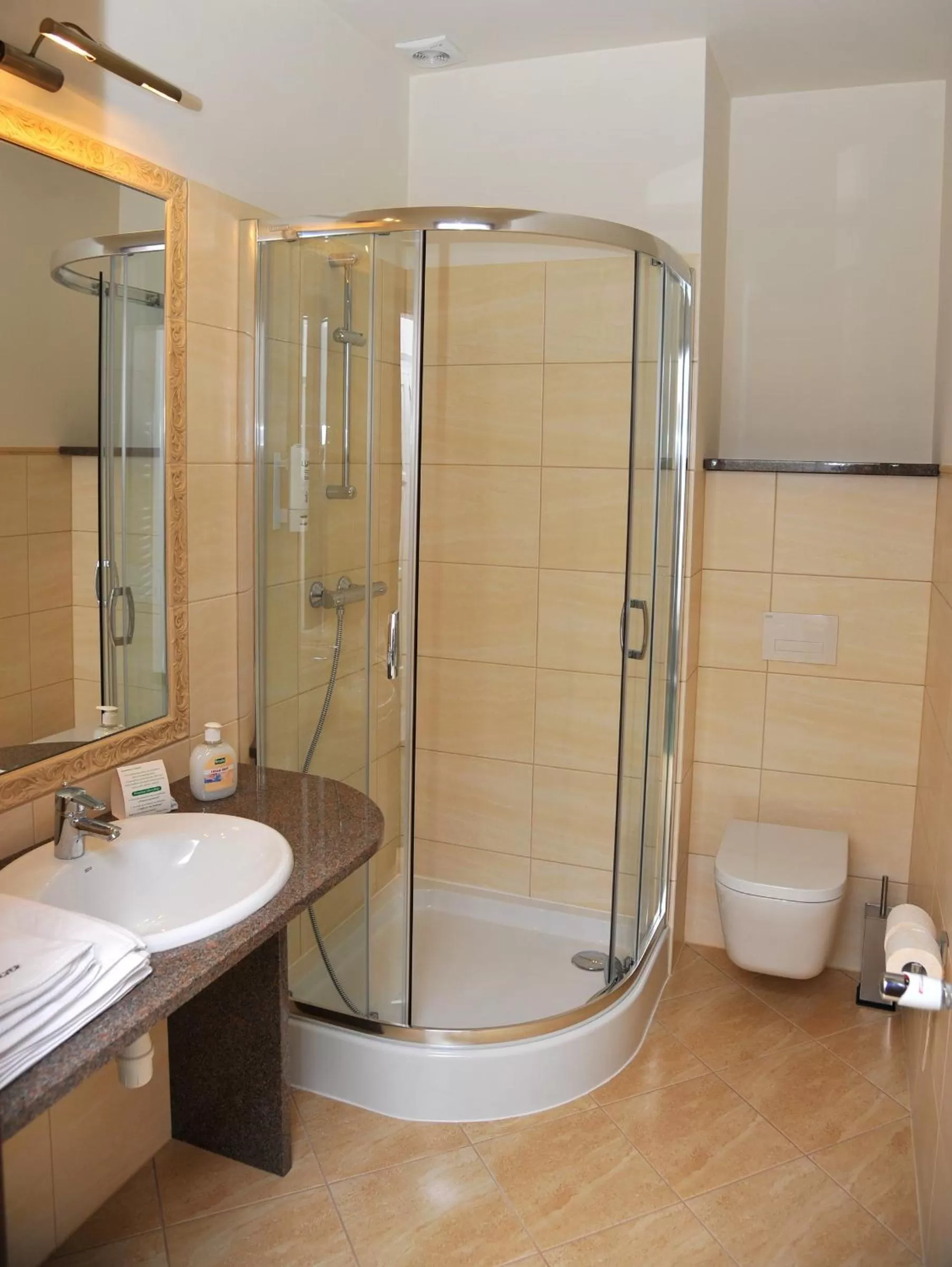 Bathroom in Hotel Sandro Silver & Spichlerz Antoniny