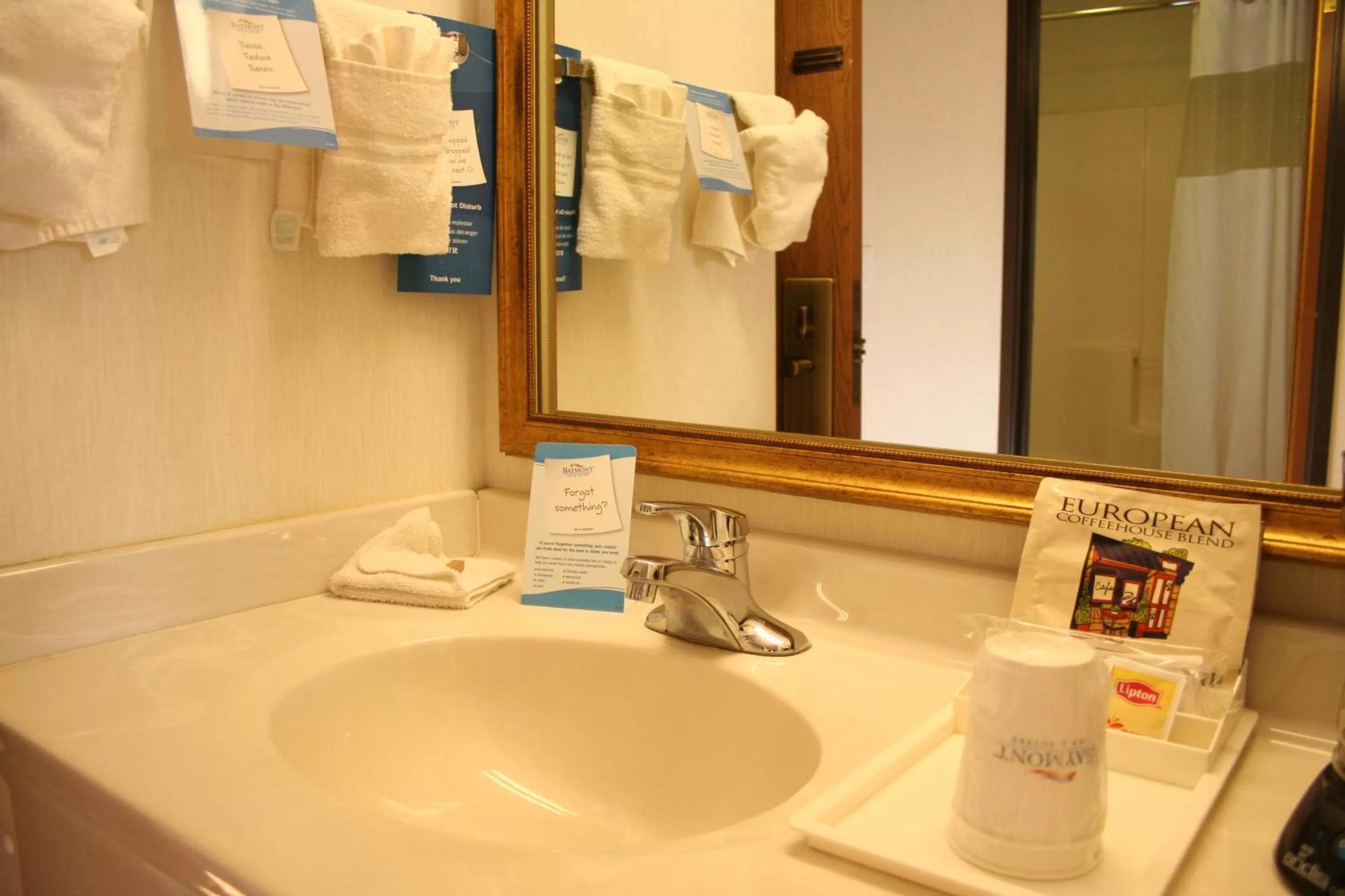 Bathroom in Baymont by Wyndham Battle Creek Downtown