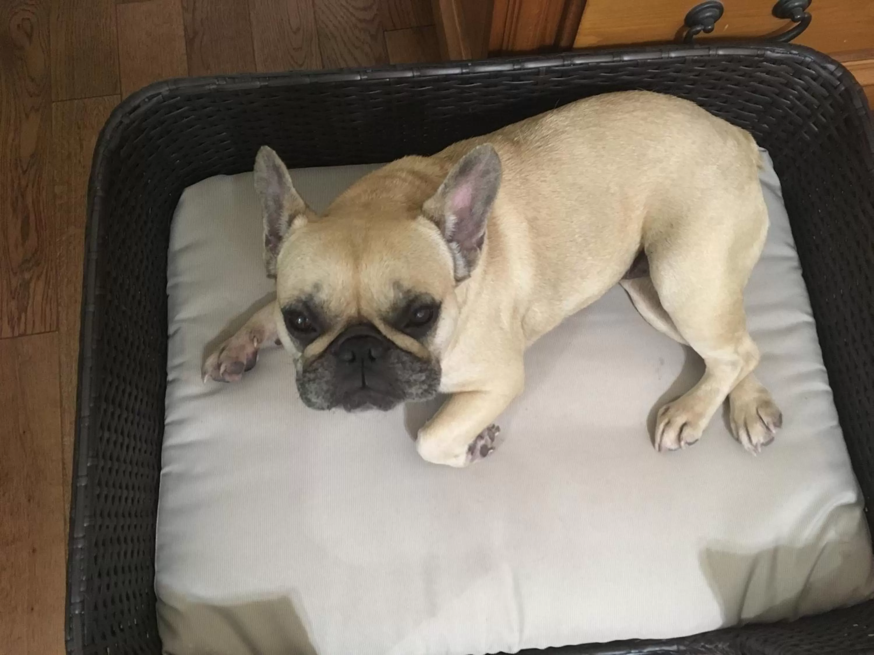 Decorative detail in Holiday Inn Express Hotel & Suites Clarington - Bowmanville by IHG