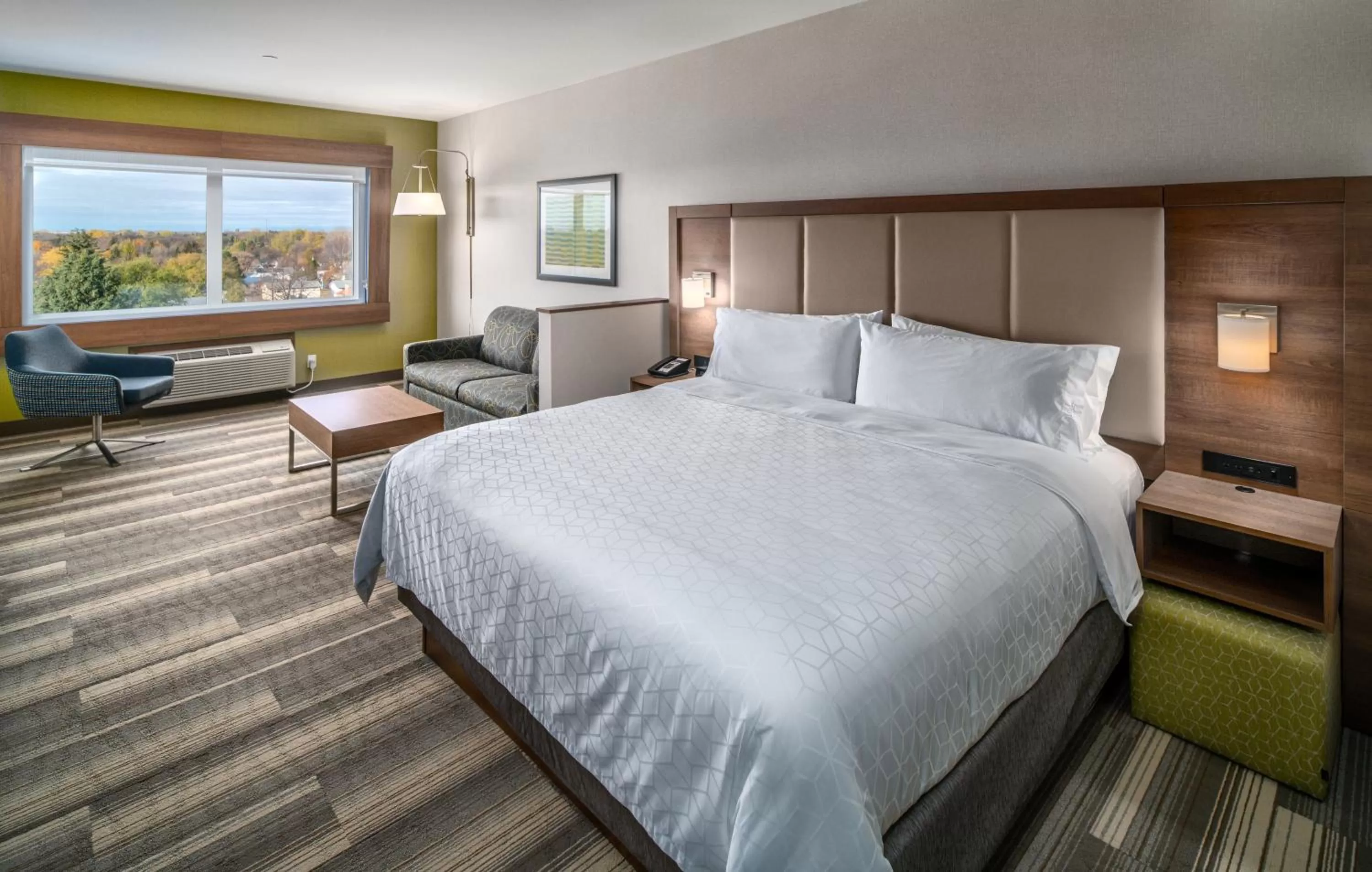 Photo of the whole room, Bed in Holiday Inn Express & Suites - Brandon by IHG