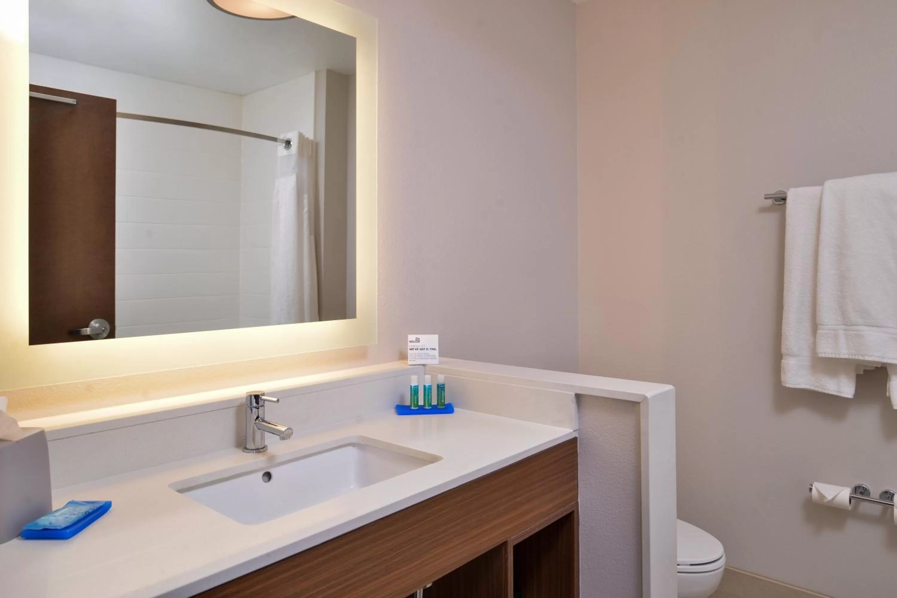 Bathroom in Holiday Inn Express & Suites - Van Horn by IHG