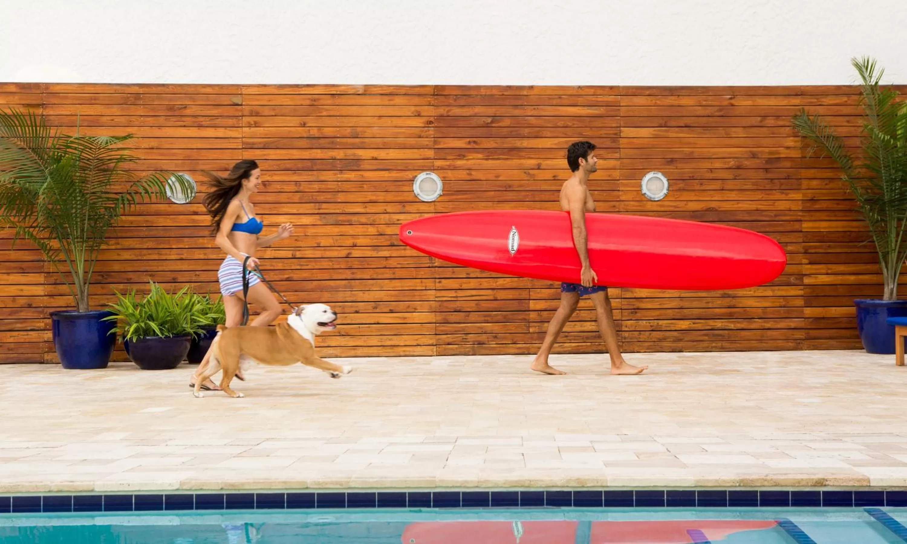 Pets in Sole Miami, A Noble House Resort