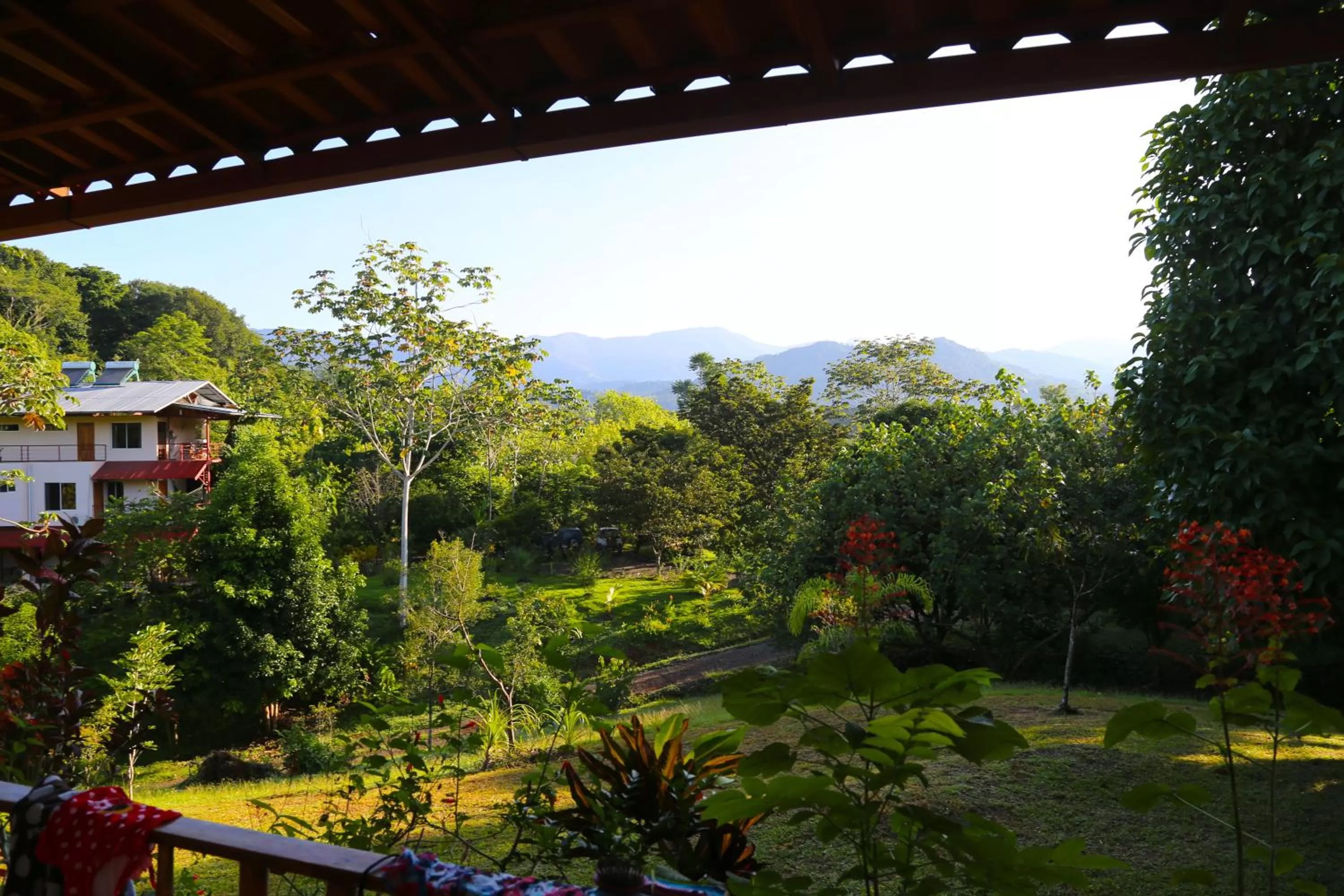 Day in Blue Banyan Inn