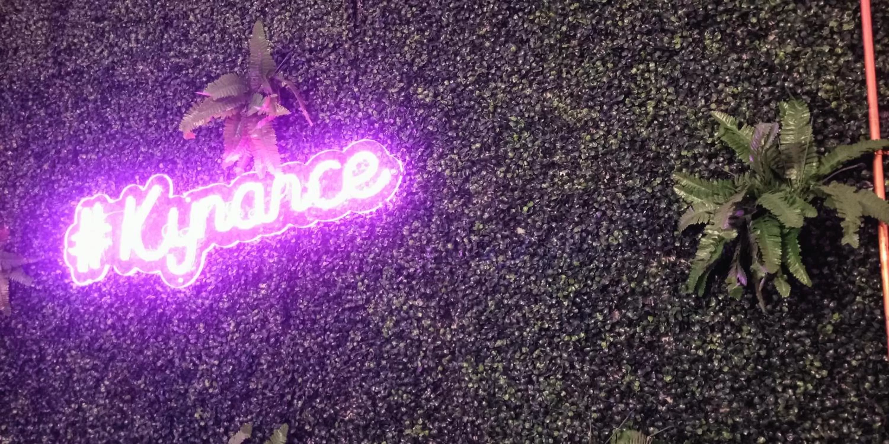 Property logo or sign in The Kynance House on Plymouth Hoe ,26 Ensuite Rooms