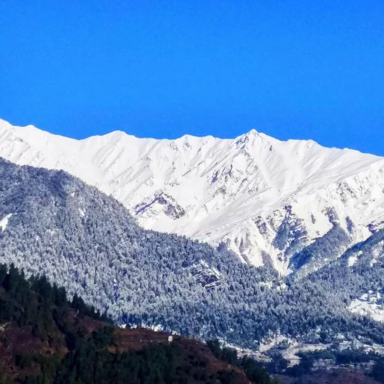 Natural landscape, Winter in Soham's Chateau De Naggar - Manali
