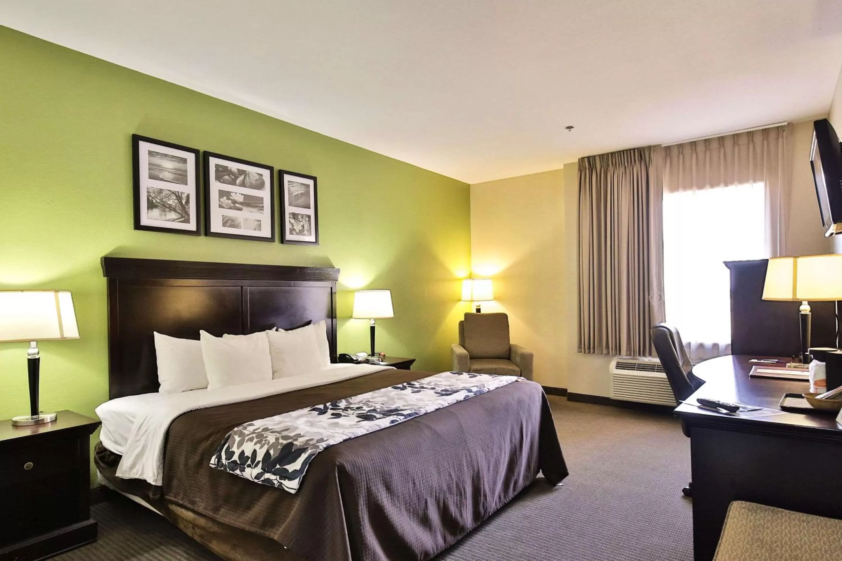 Photo of the whole room, Bed in Sleep Inn & Suites Abilene Near University