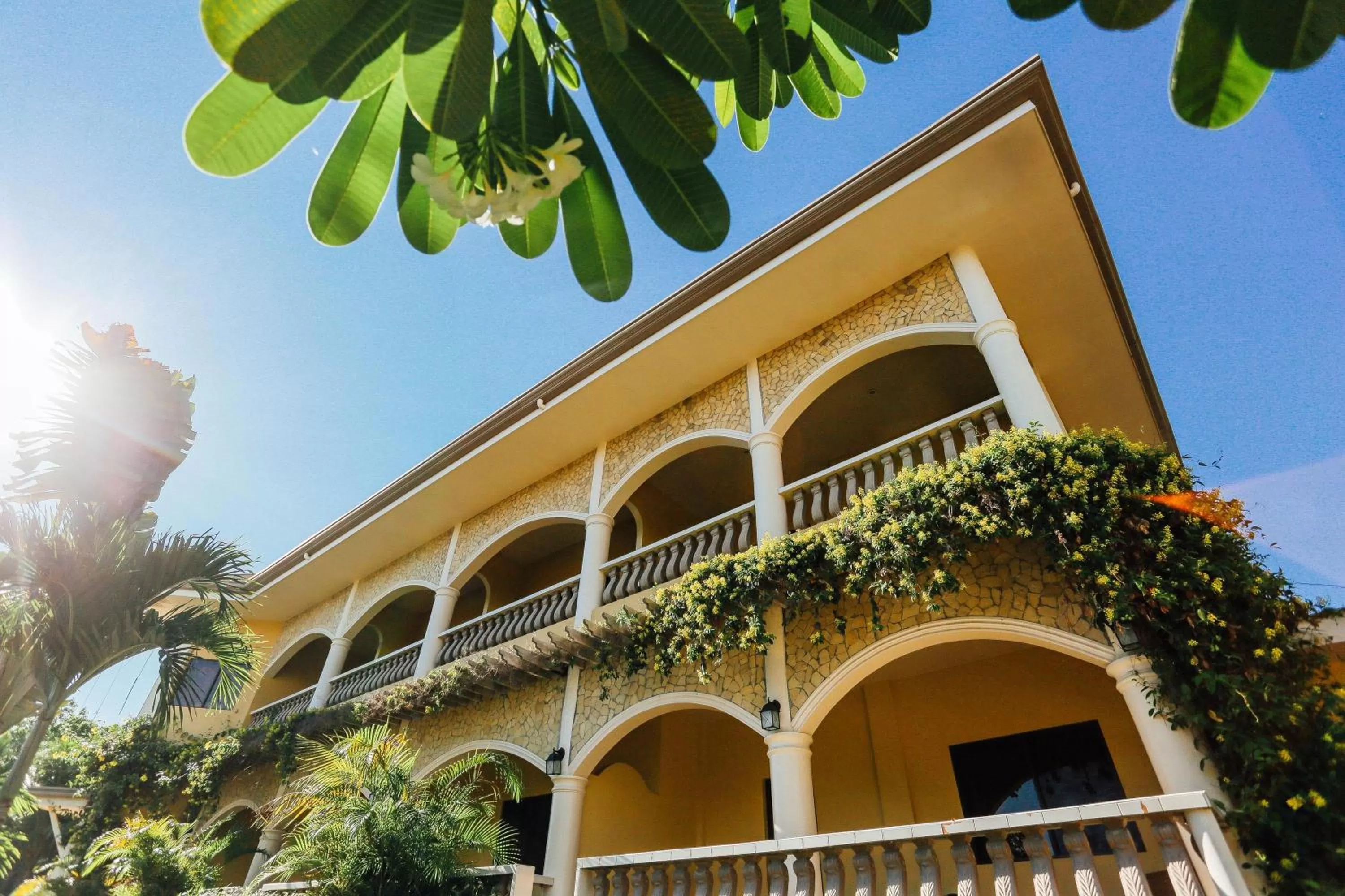 Property building in Turtle Bay Dive Resort