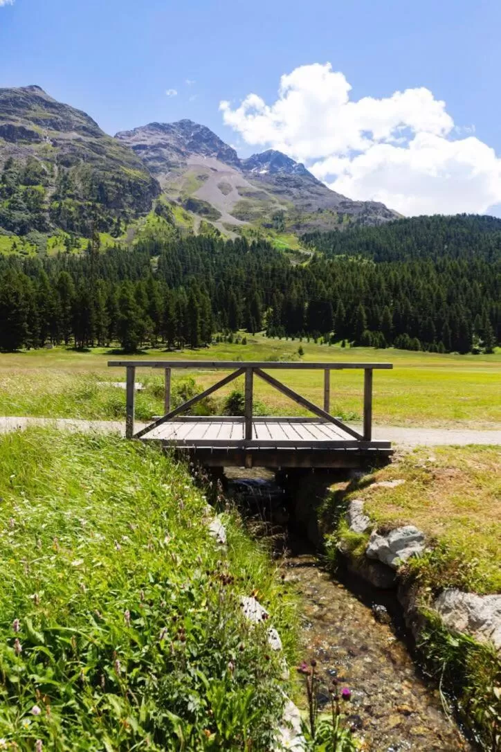 Natural landscape in b&b River Inn