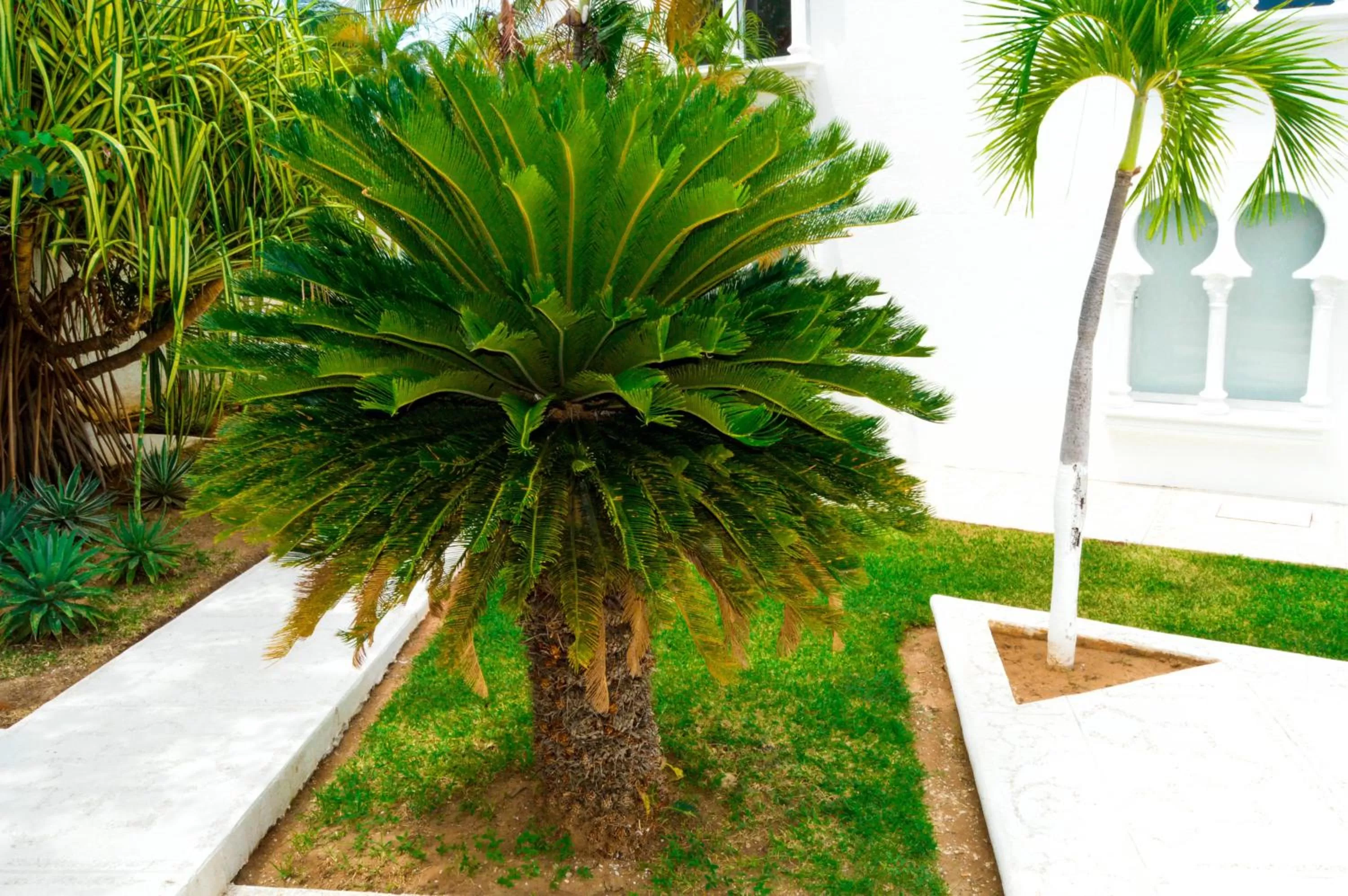 Day in Hotel Aldea del Bazar & Spa