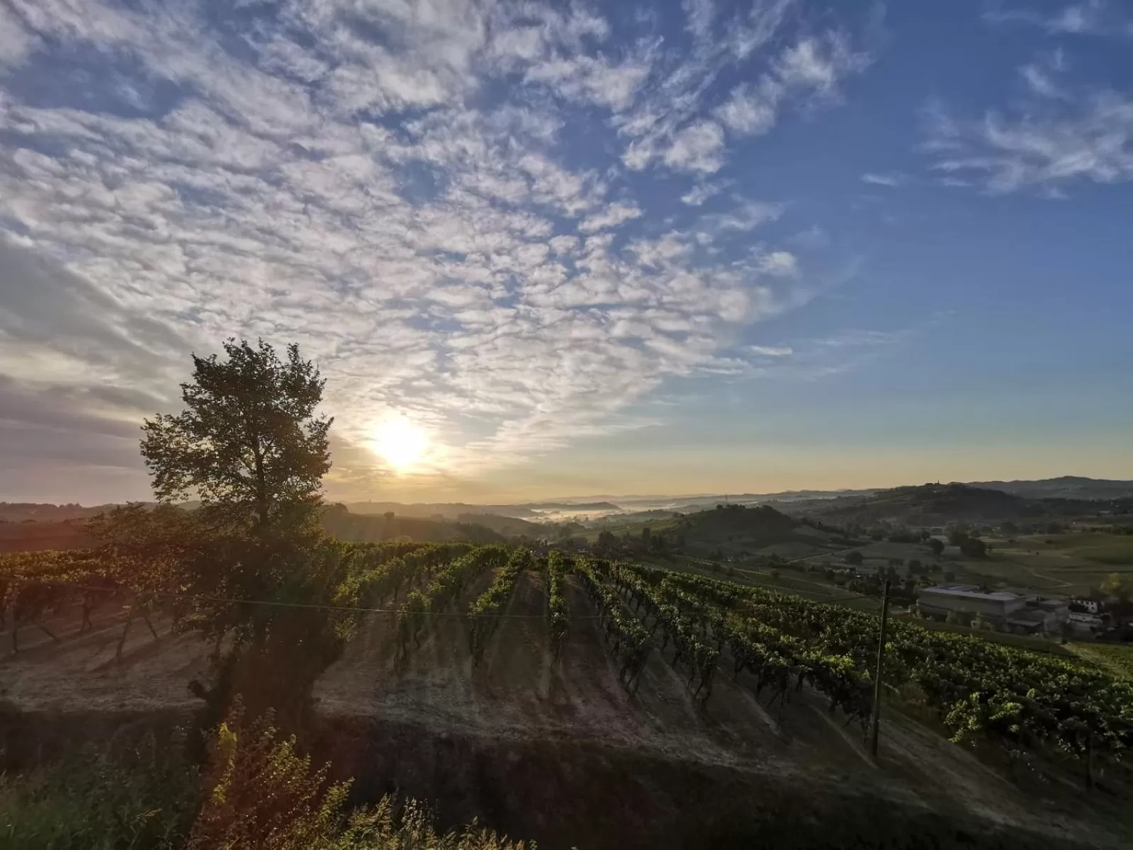 Natural landscape in La Maggiorina