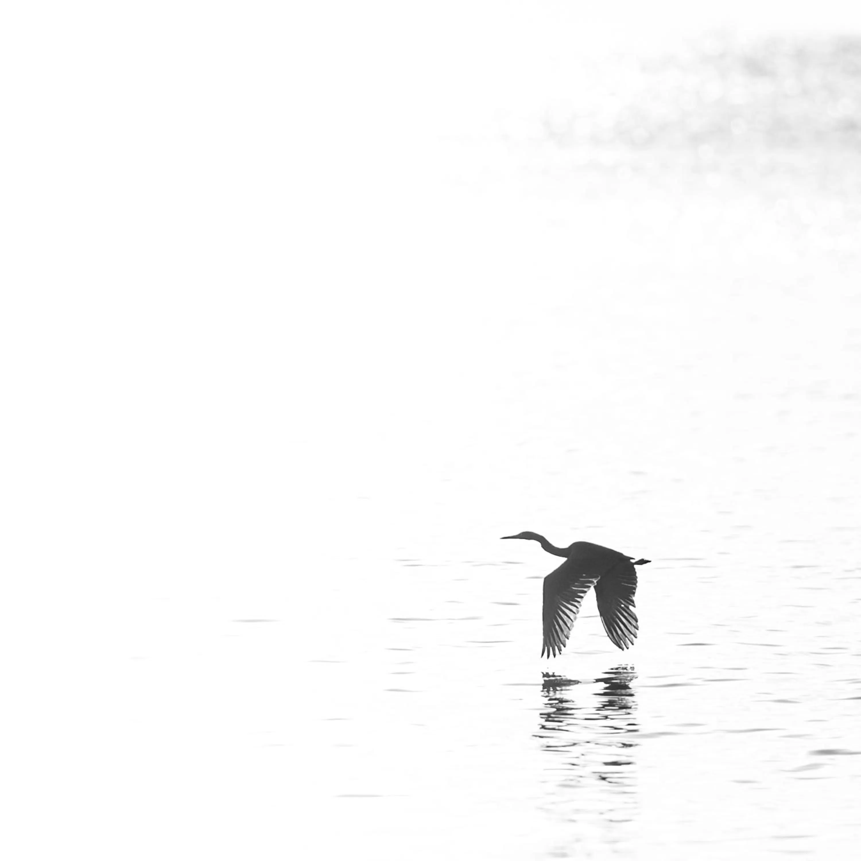 Other in Medee Resort