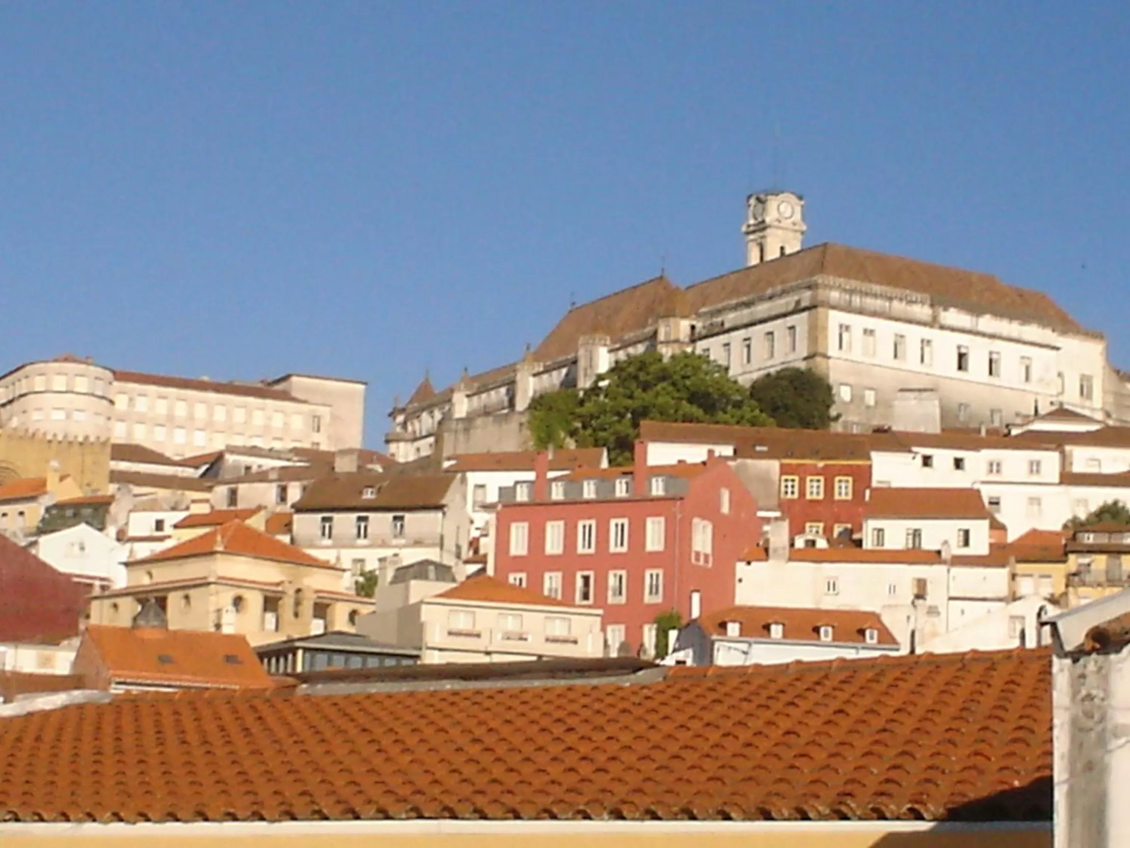 Area and facilities in Hotel Domus