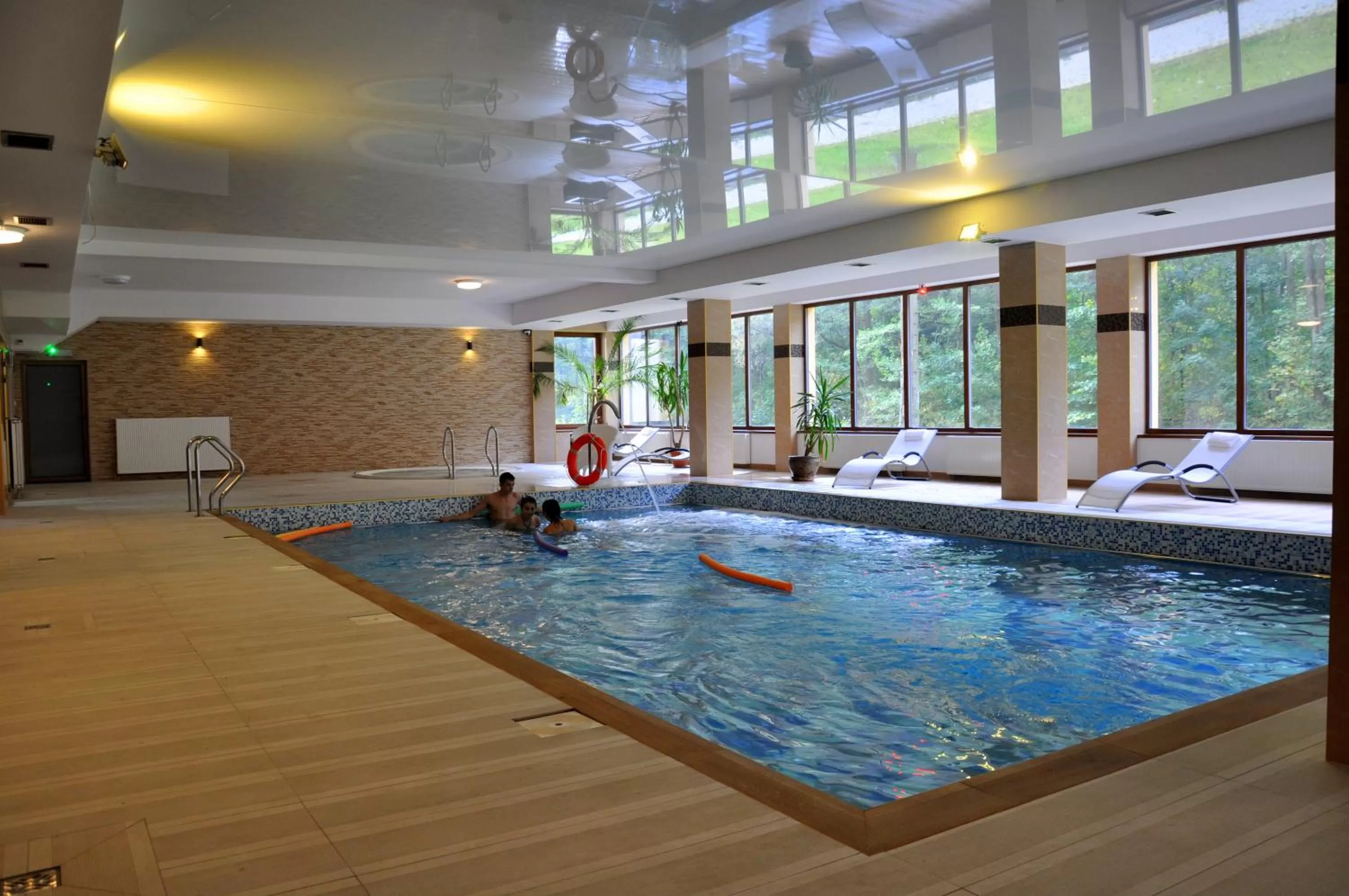 Spa and wellness centre/facilities, Swimming Pool in Hotel Mir-Jan SPA