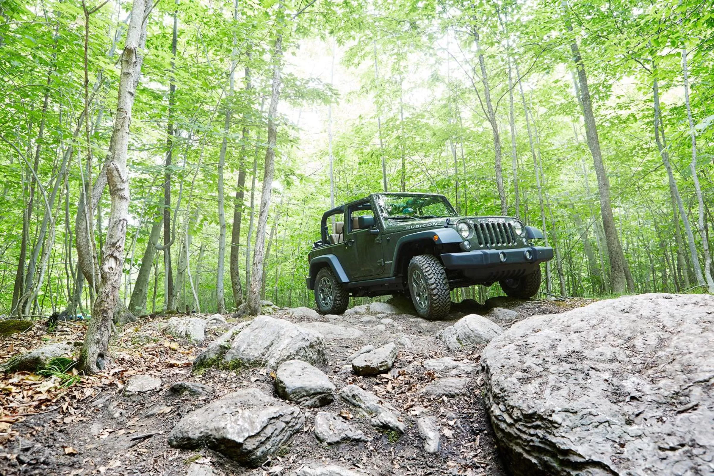 Activities in Drummond Island Resort